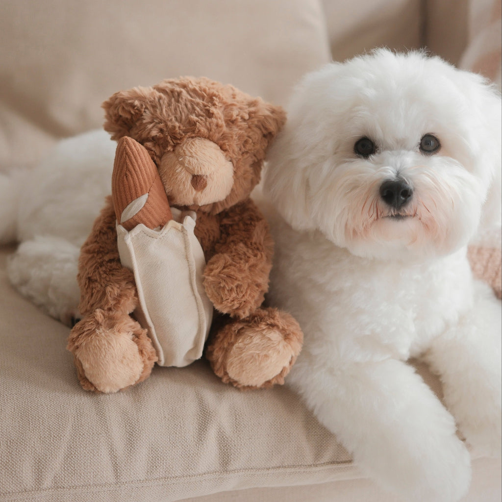 Teddy Baguette