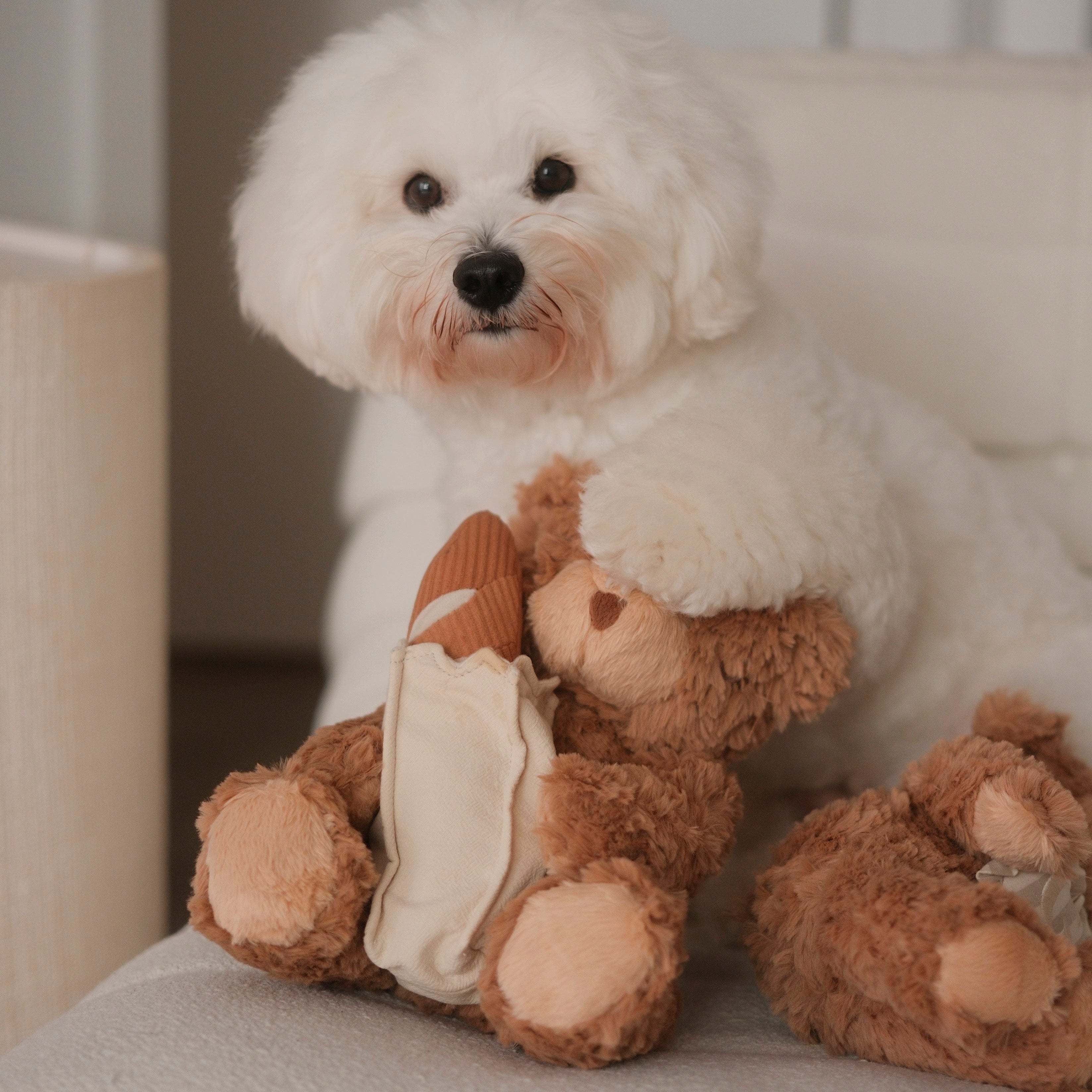 Teddy Baguette