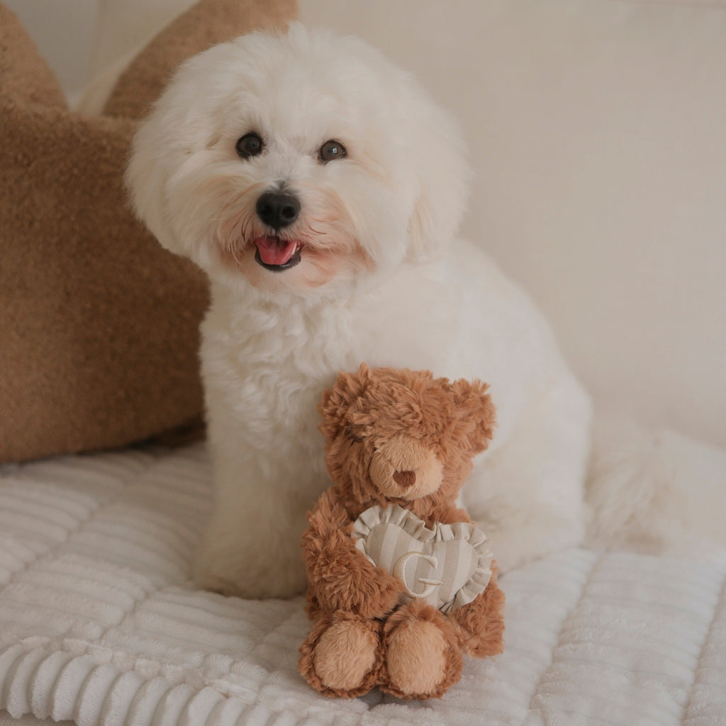 Teddy Initial