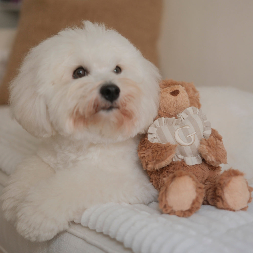 Teddy Initial