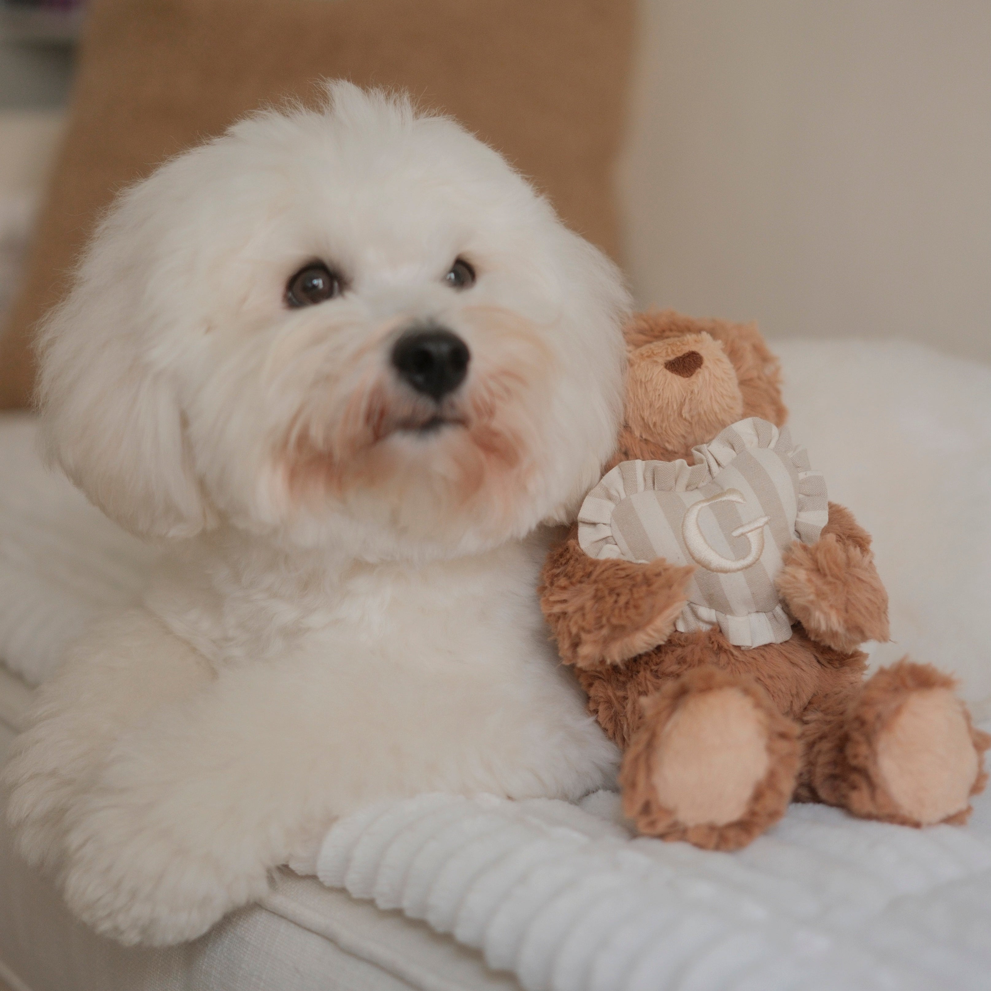 Teddy Initial