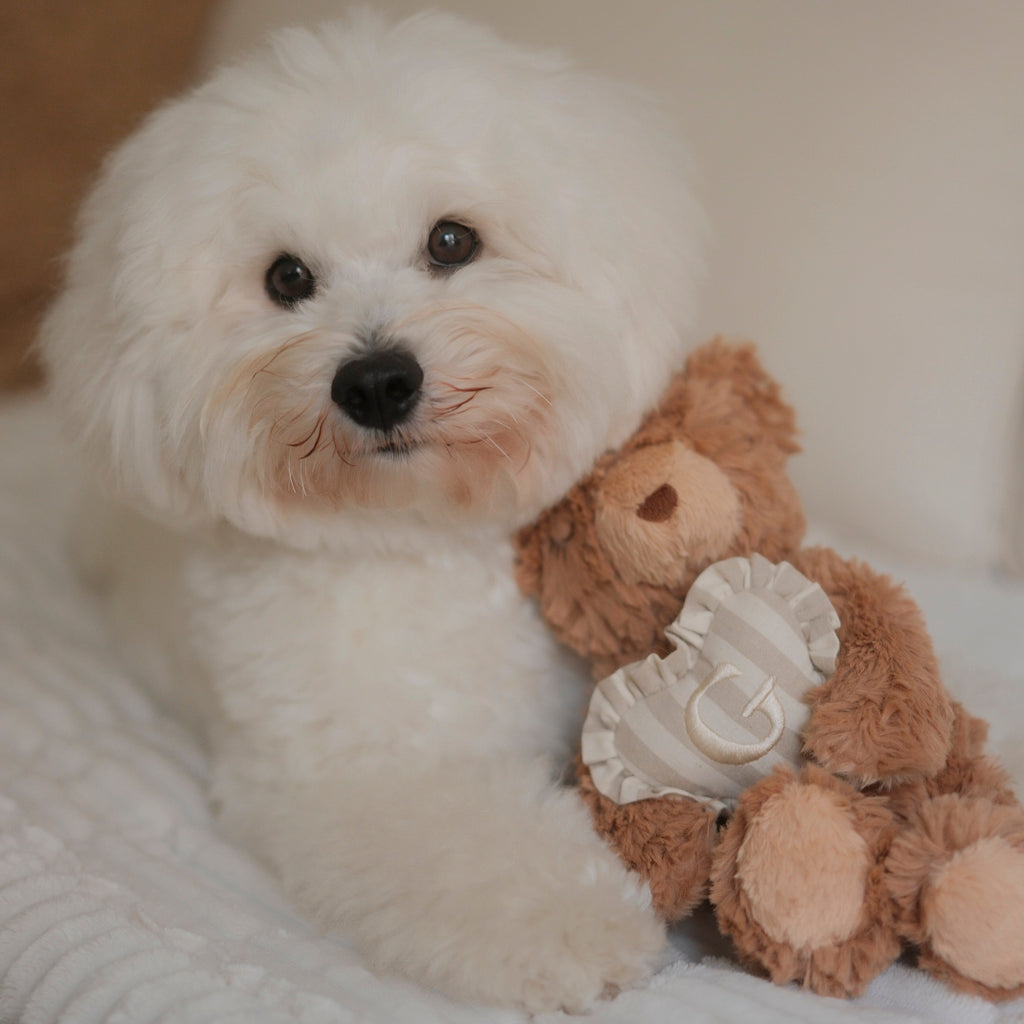 Teddy Initial