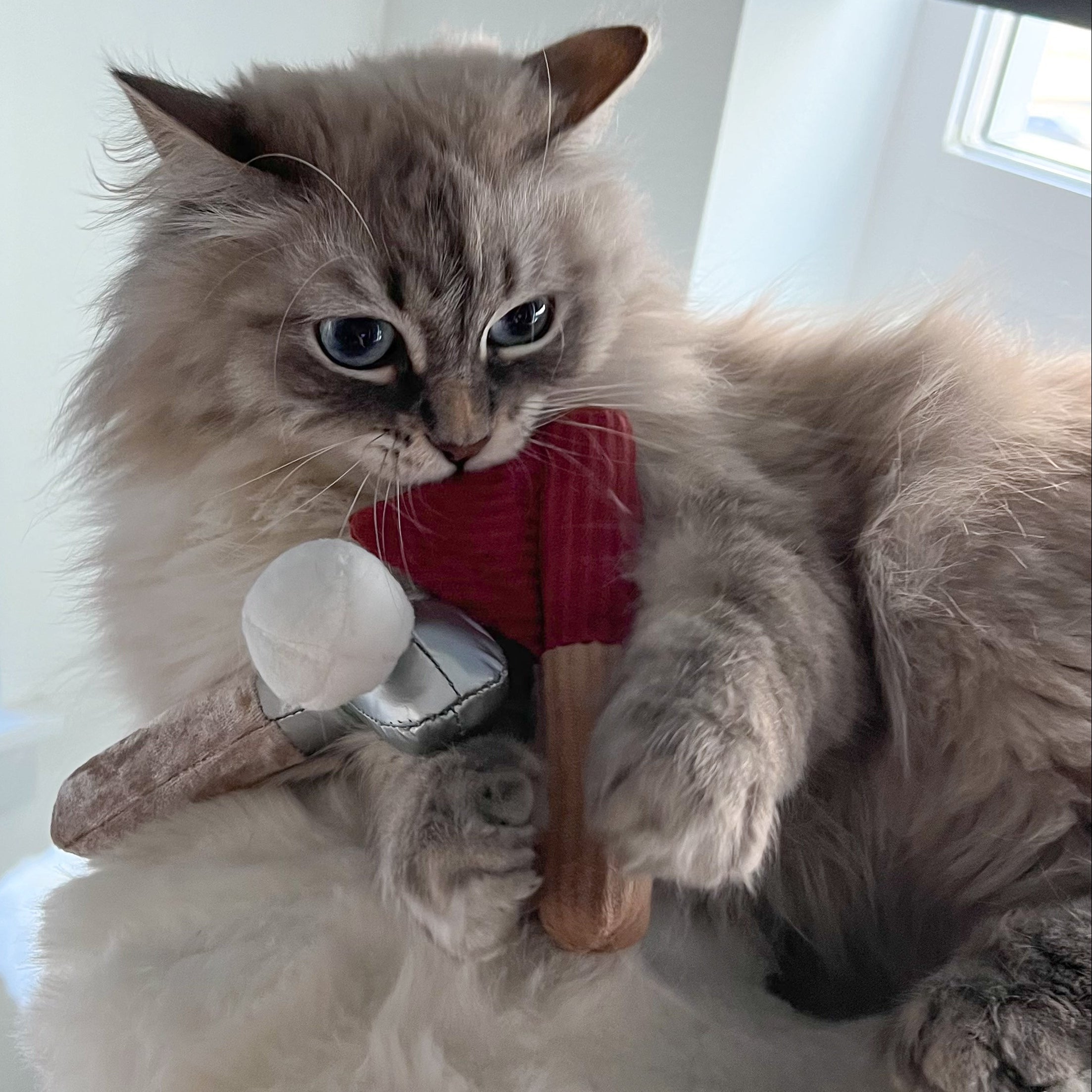 KITTY GOLFER