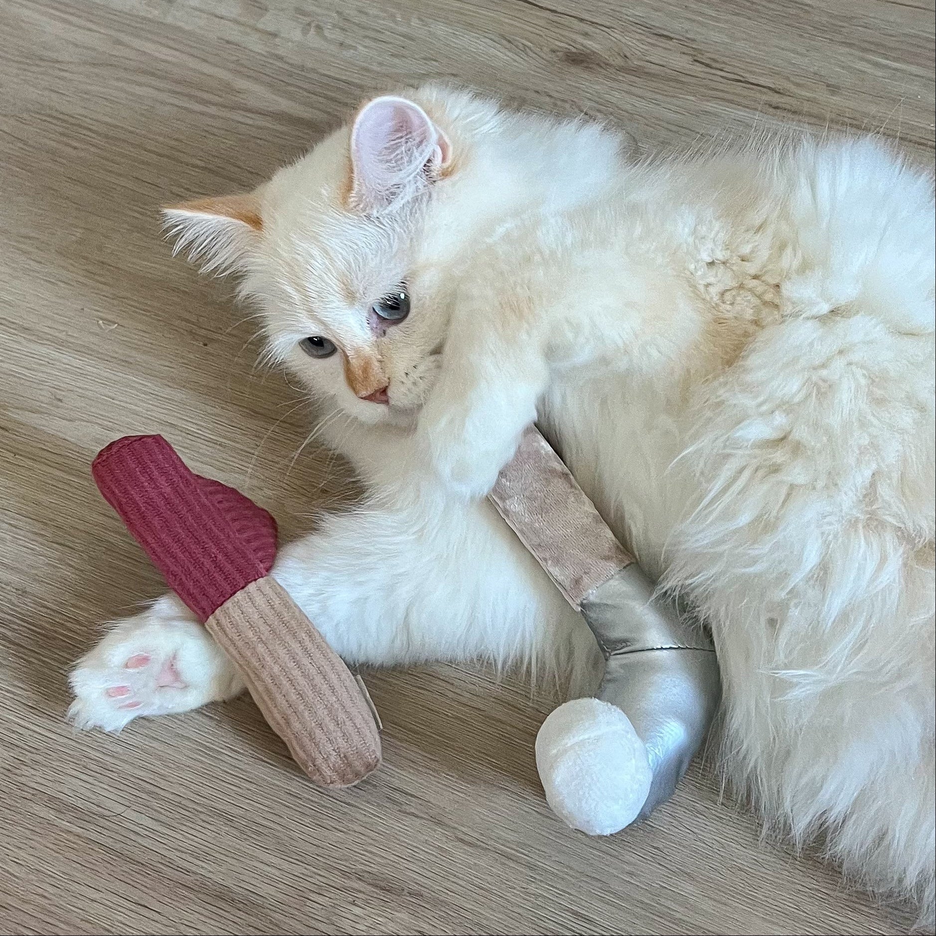 KITTY GOLFER