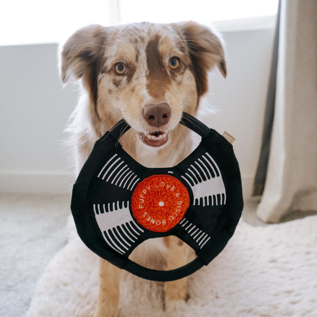 Bark To Beat