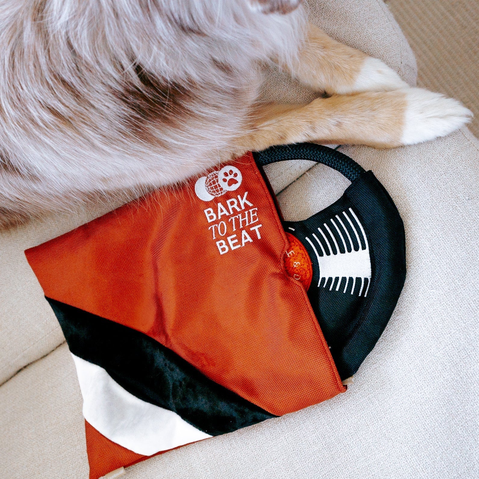 Bark To Beat