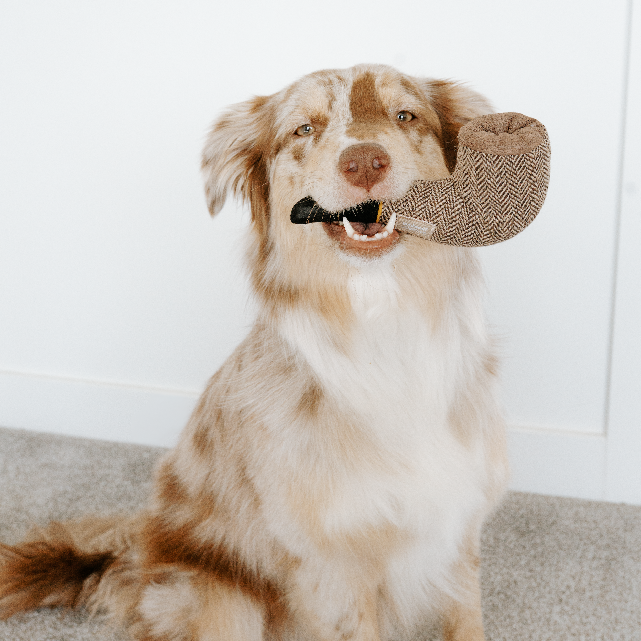 Surrealist Snuffles