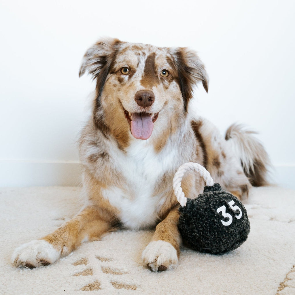 KETTLEBELL