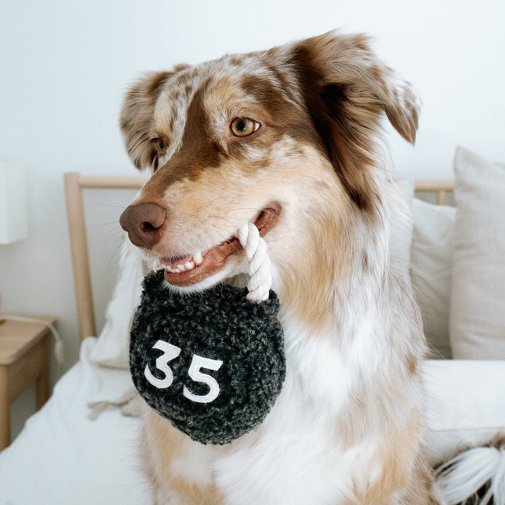 KETTLEBELL
