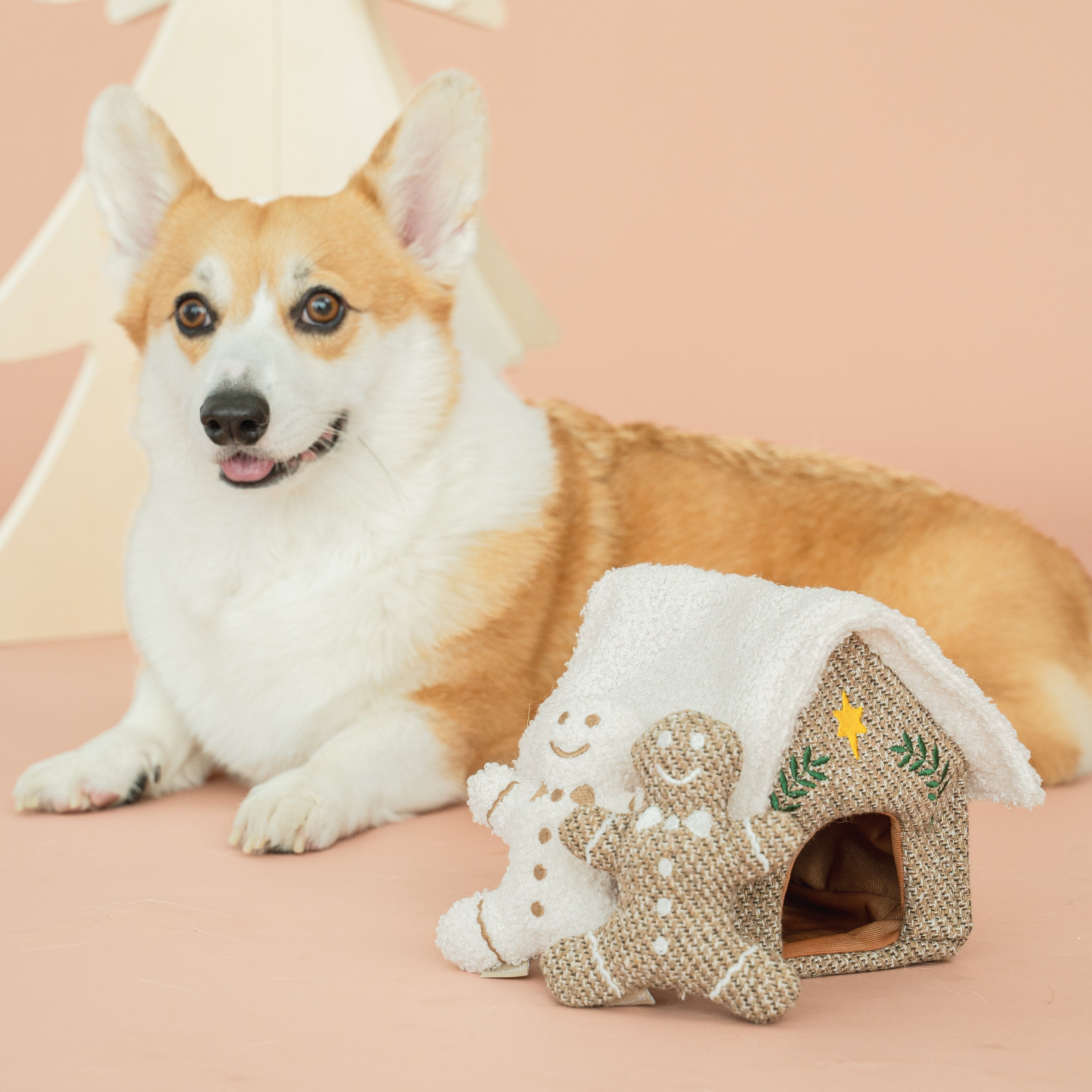GINGERBREAD HOUSE