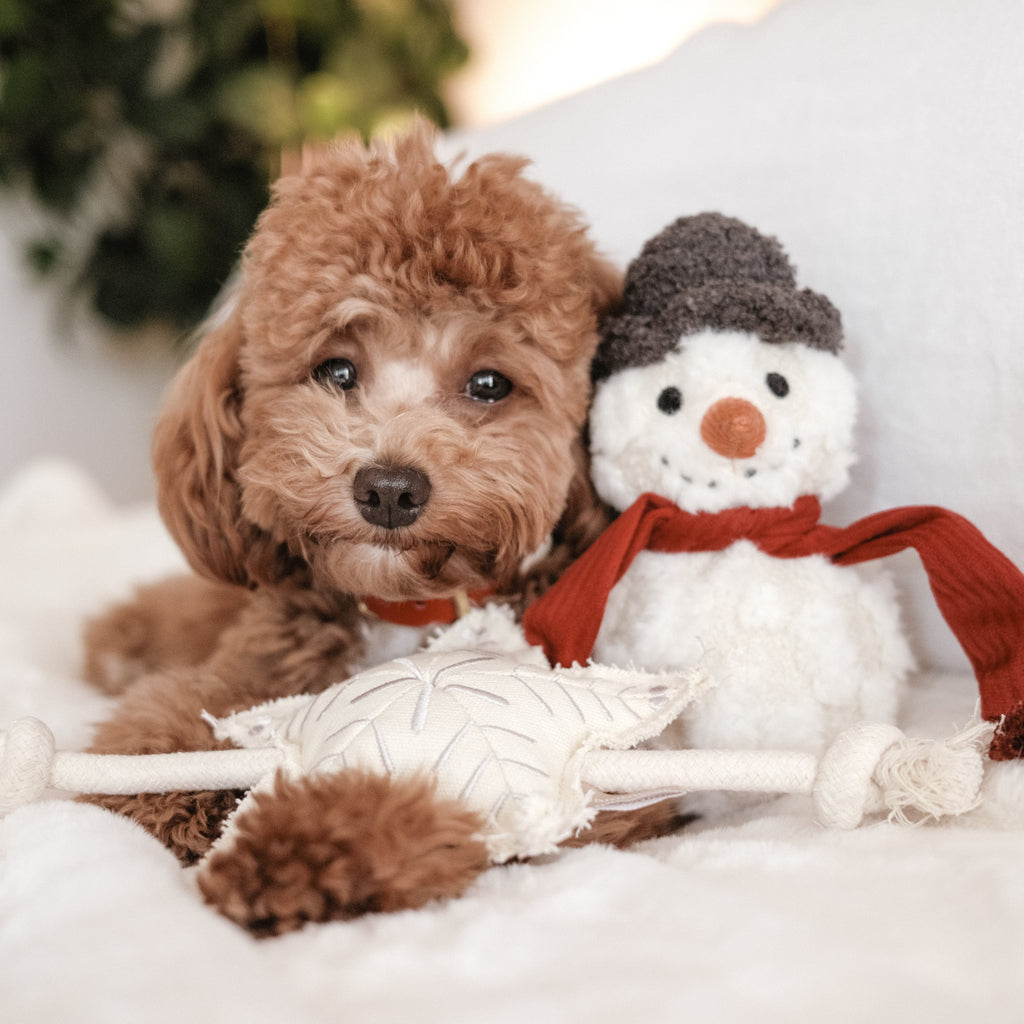 SNOWMAN