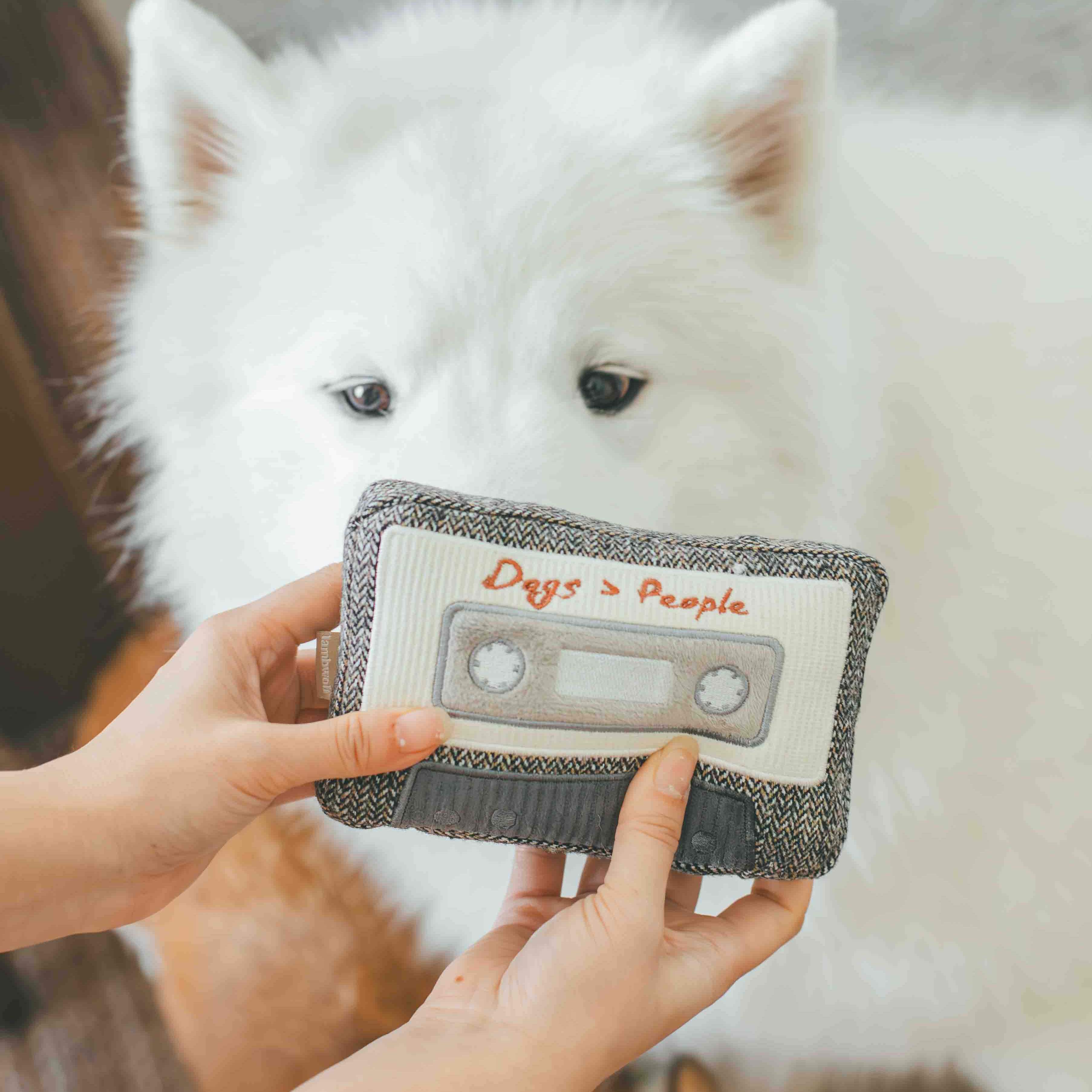CASSETTE