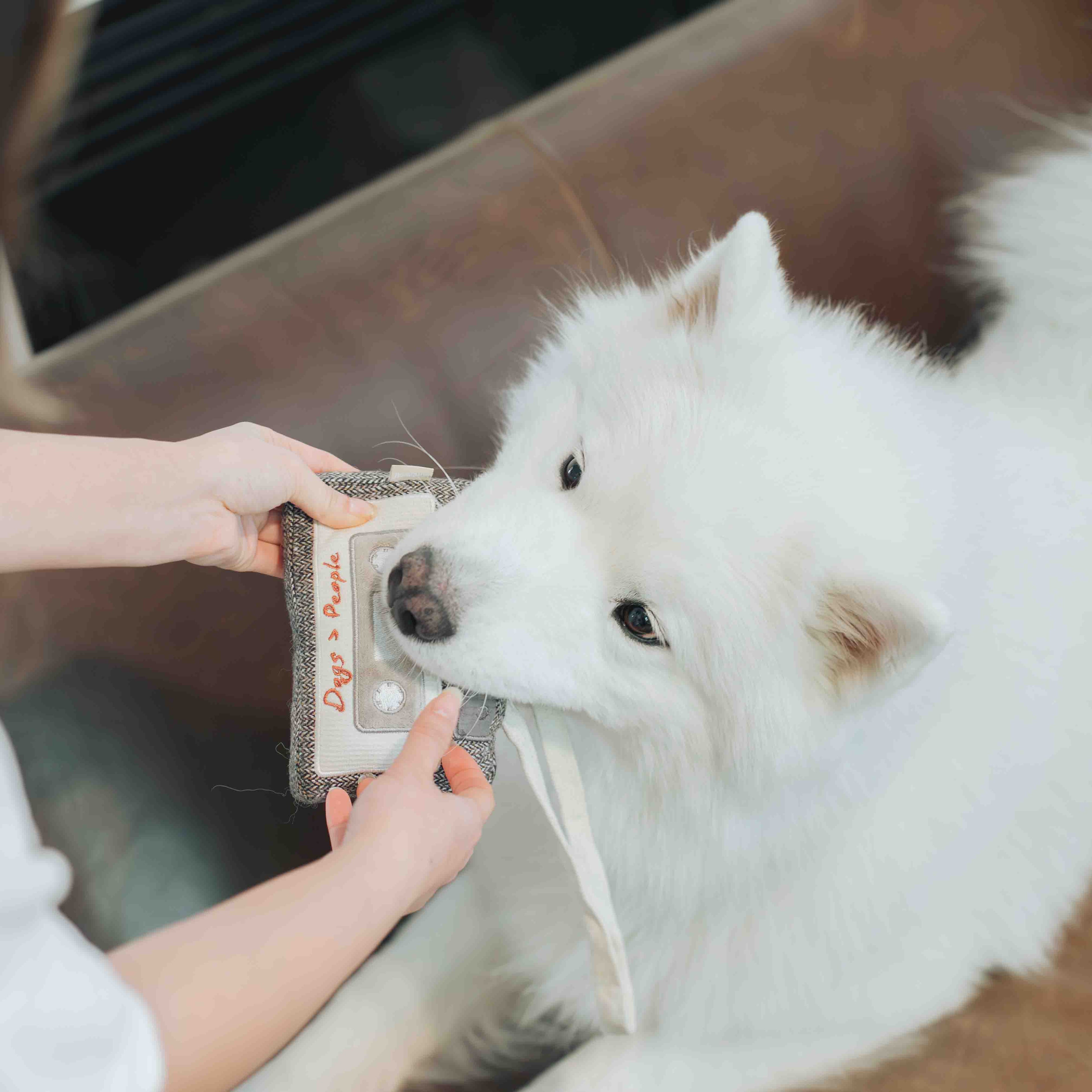 CASSETTE