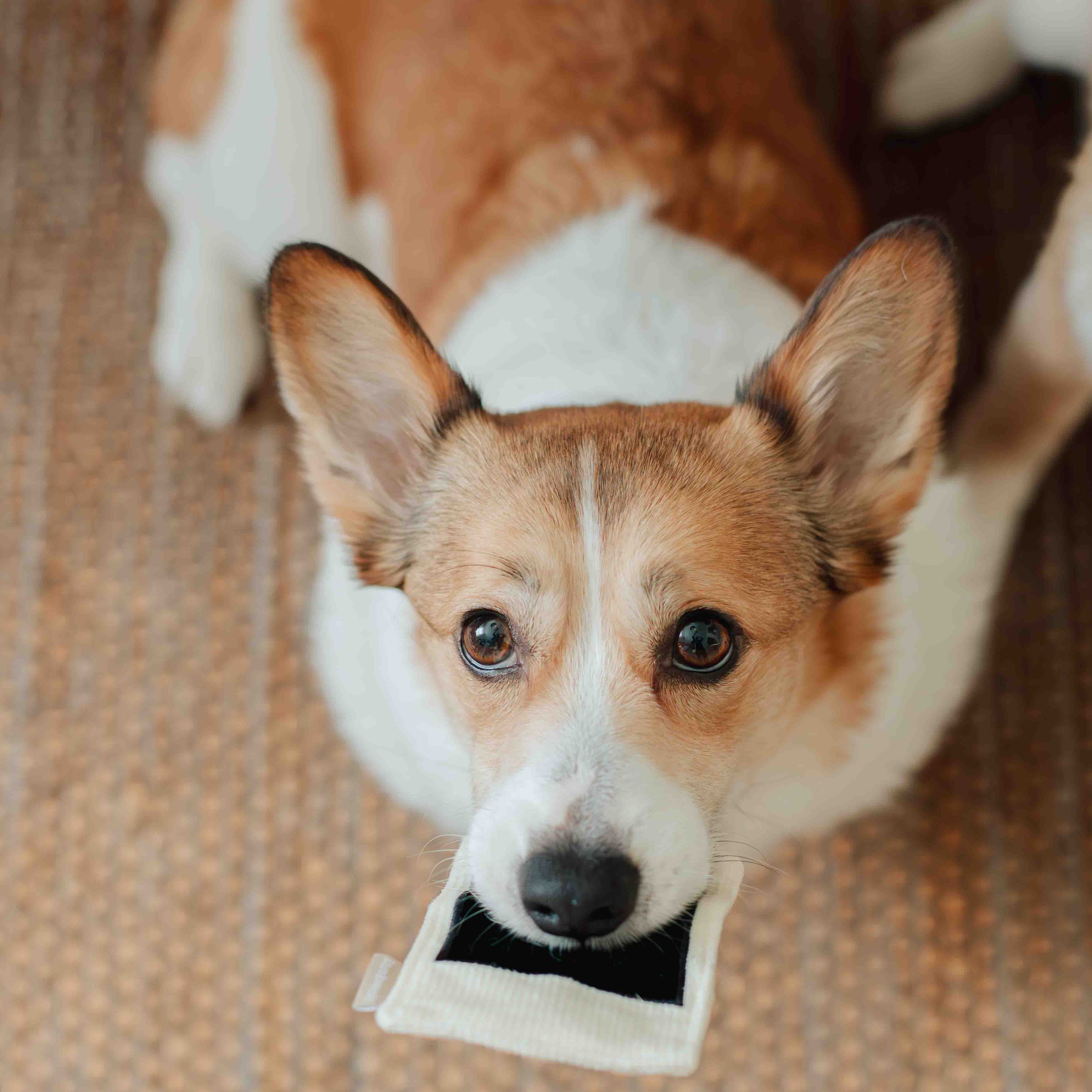 INSTANT CAMERA