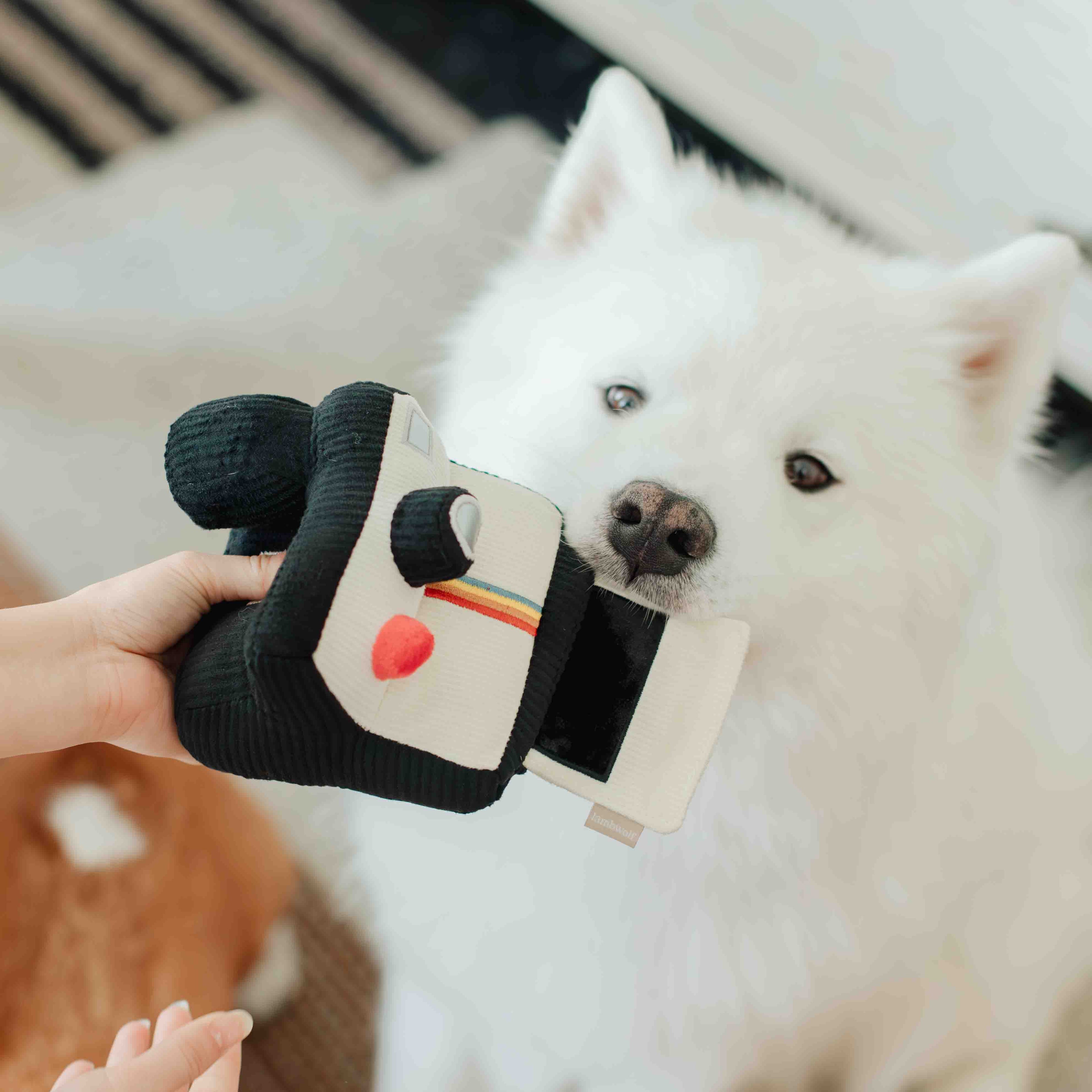 INSTANT CAMERA