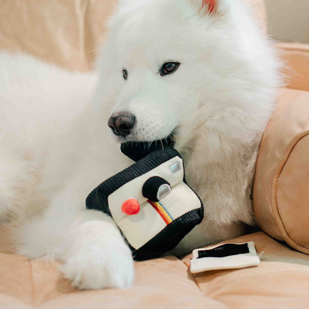INSTANT CAMERA