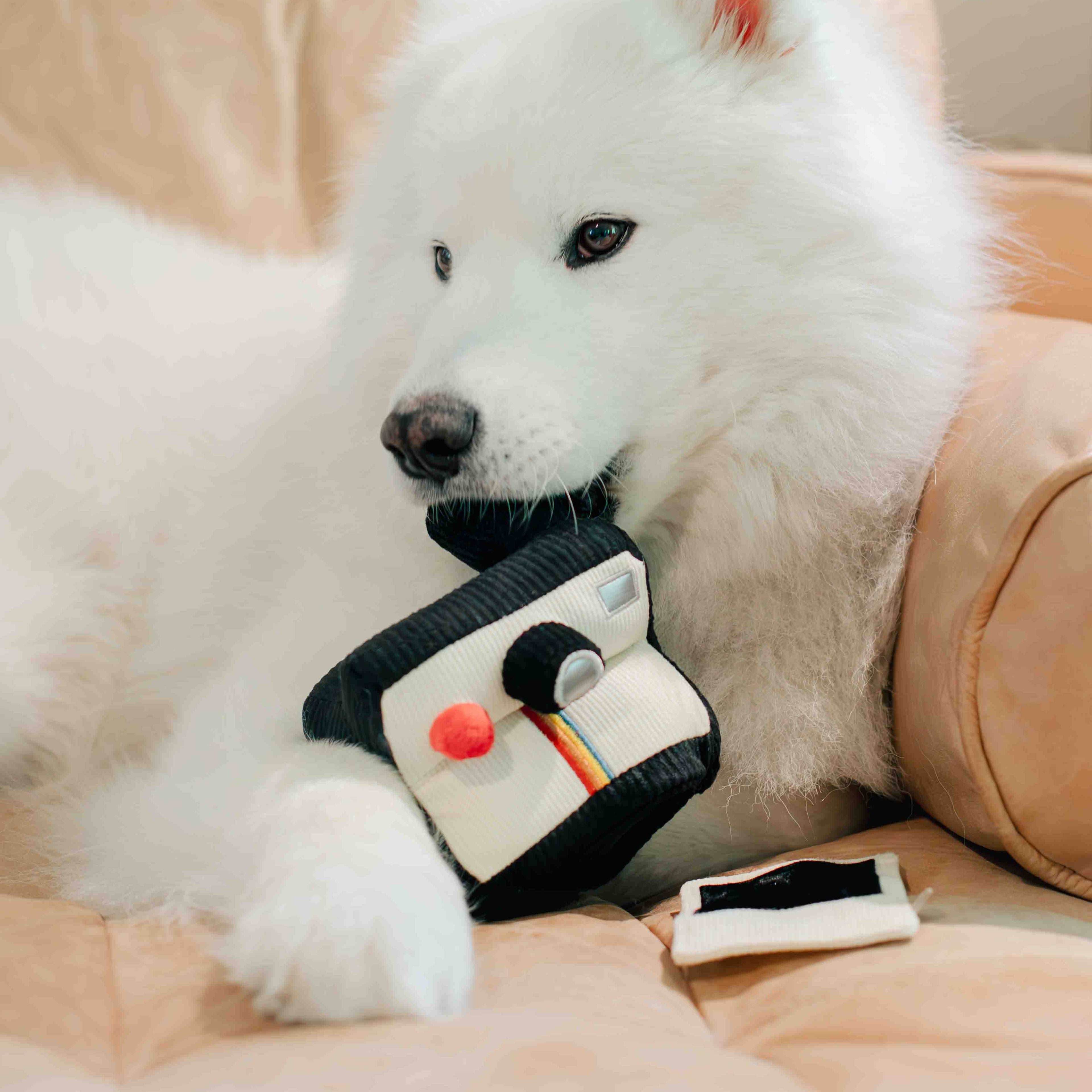 INSTANT CAMERA