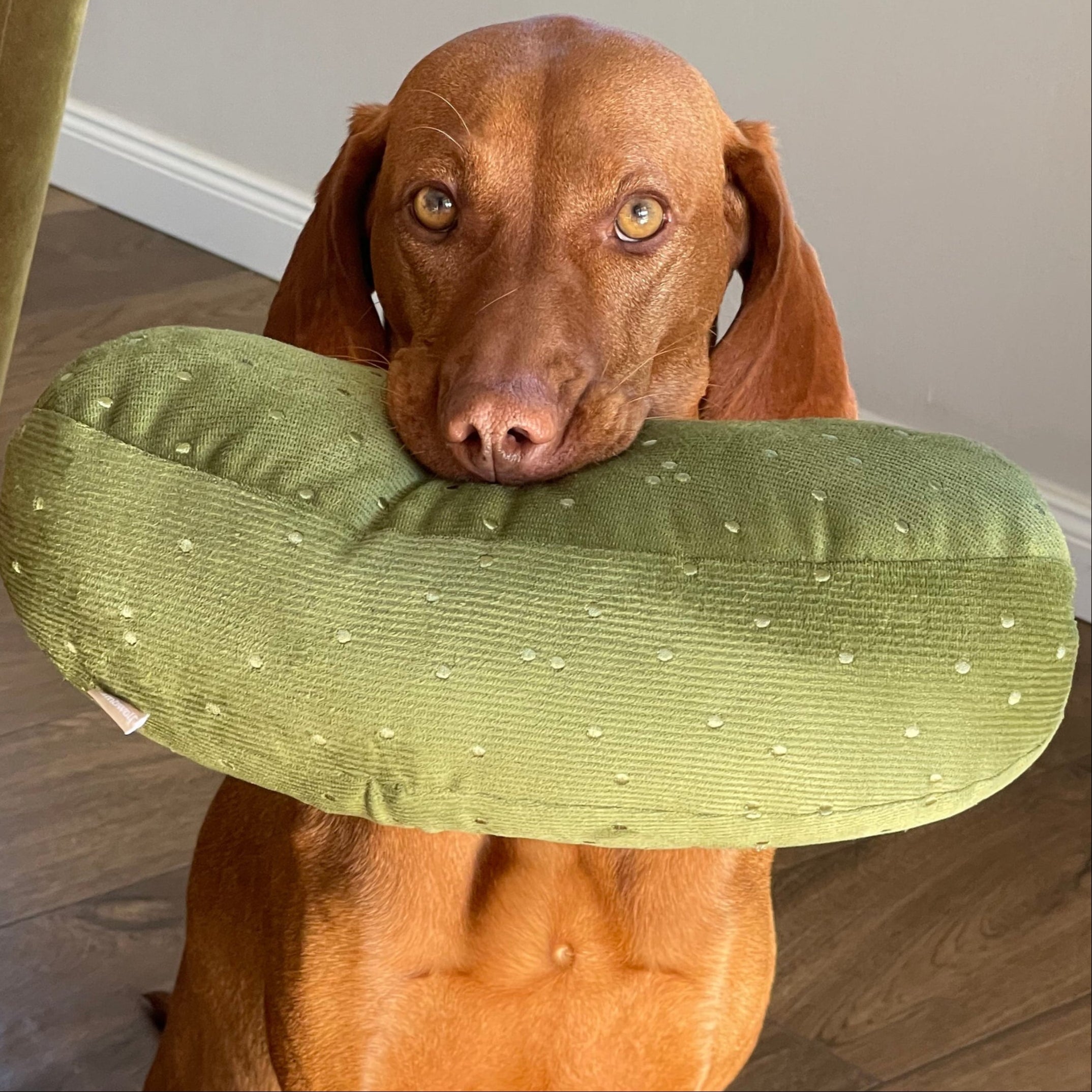 GIANT PICKLE