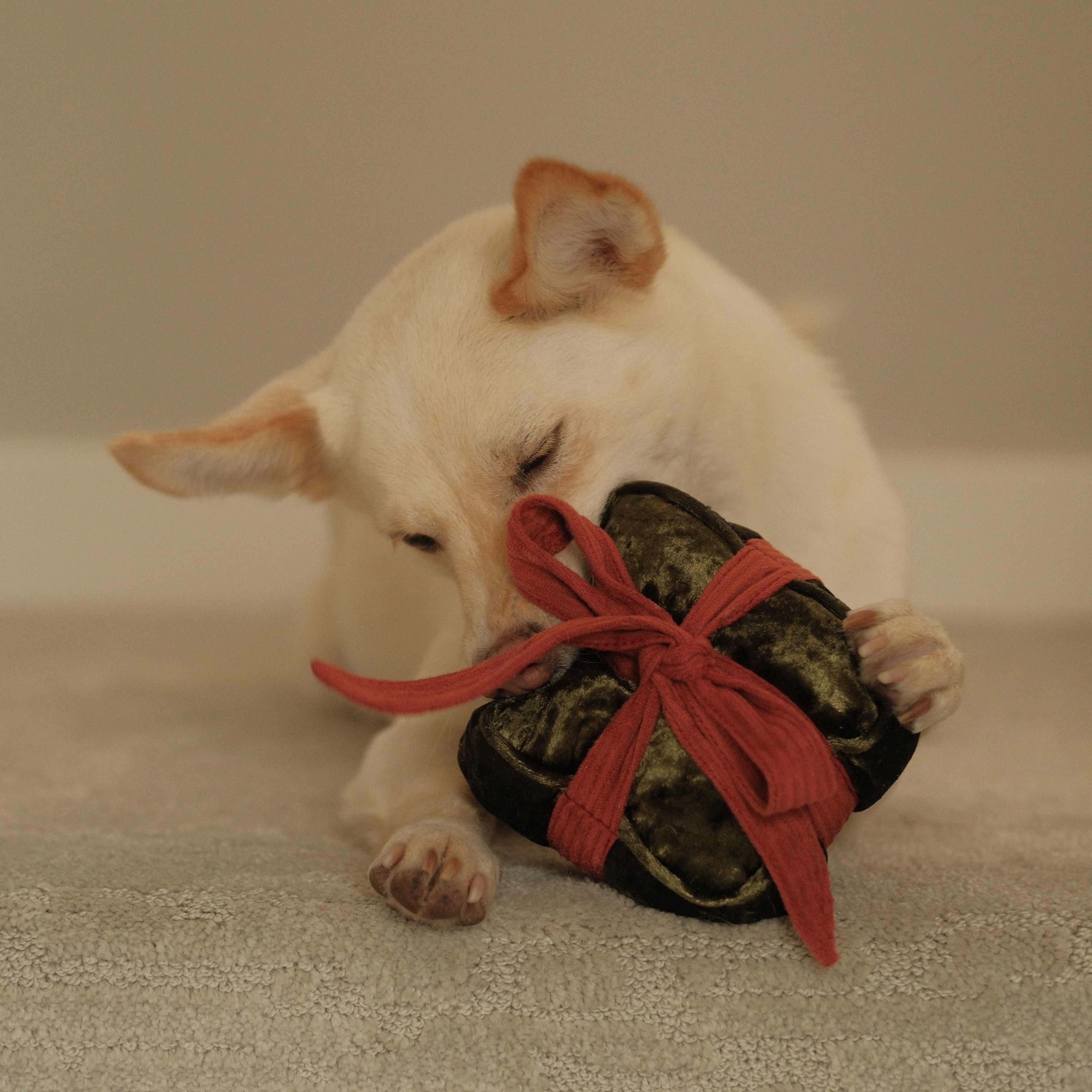 HOLIDAY BOX