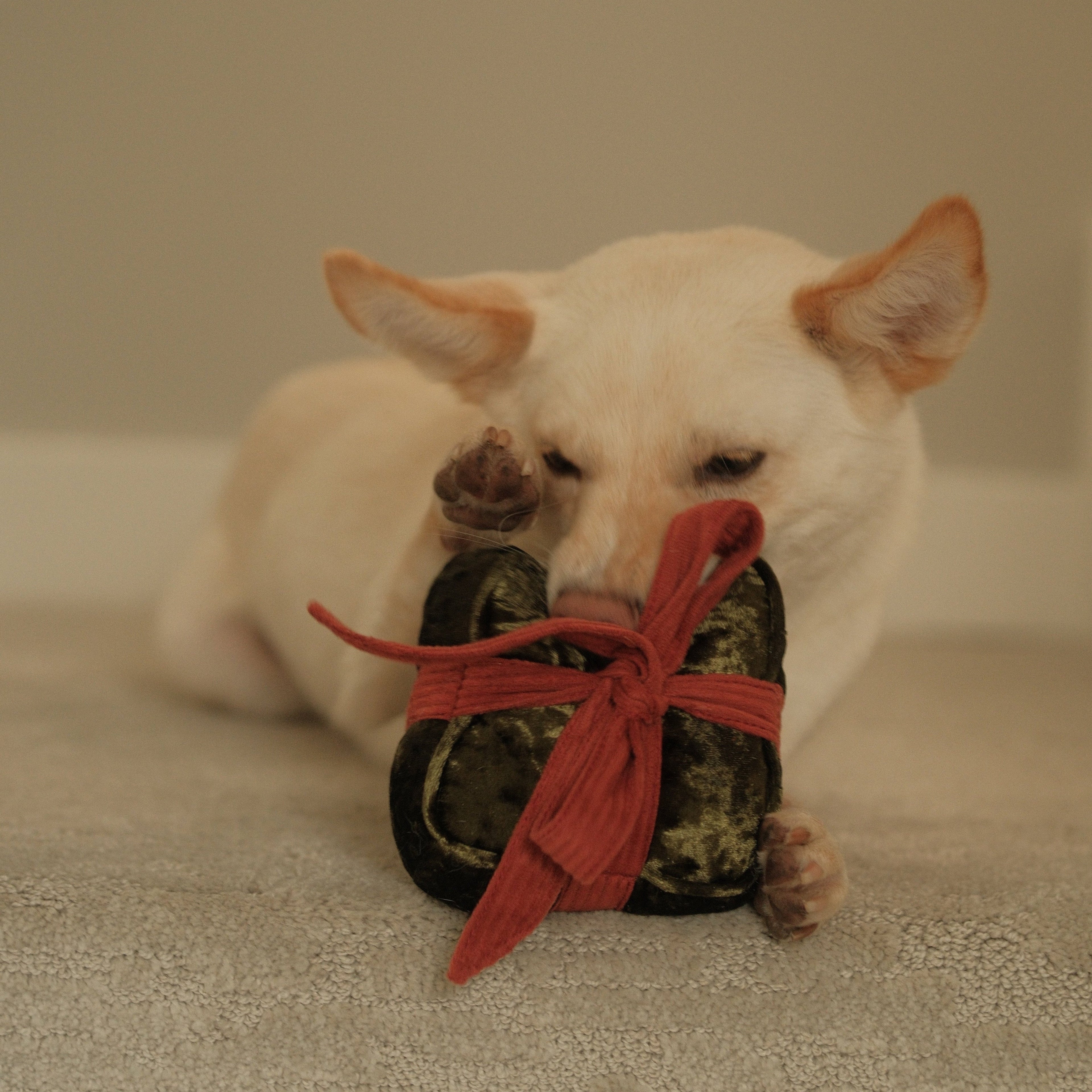 HOLIDAY BOX