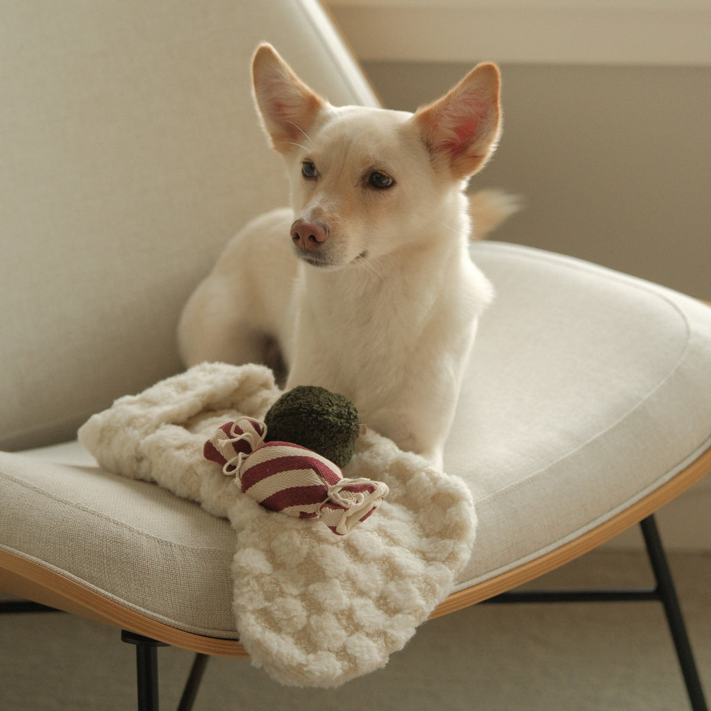 XMAS STOCKING