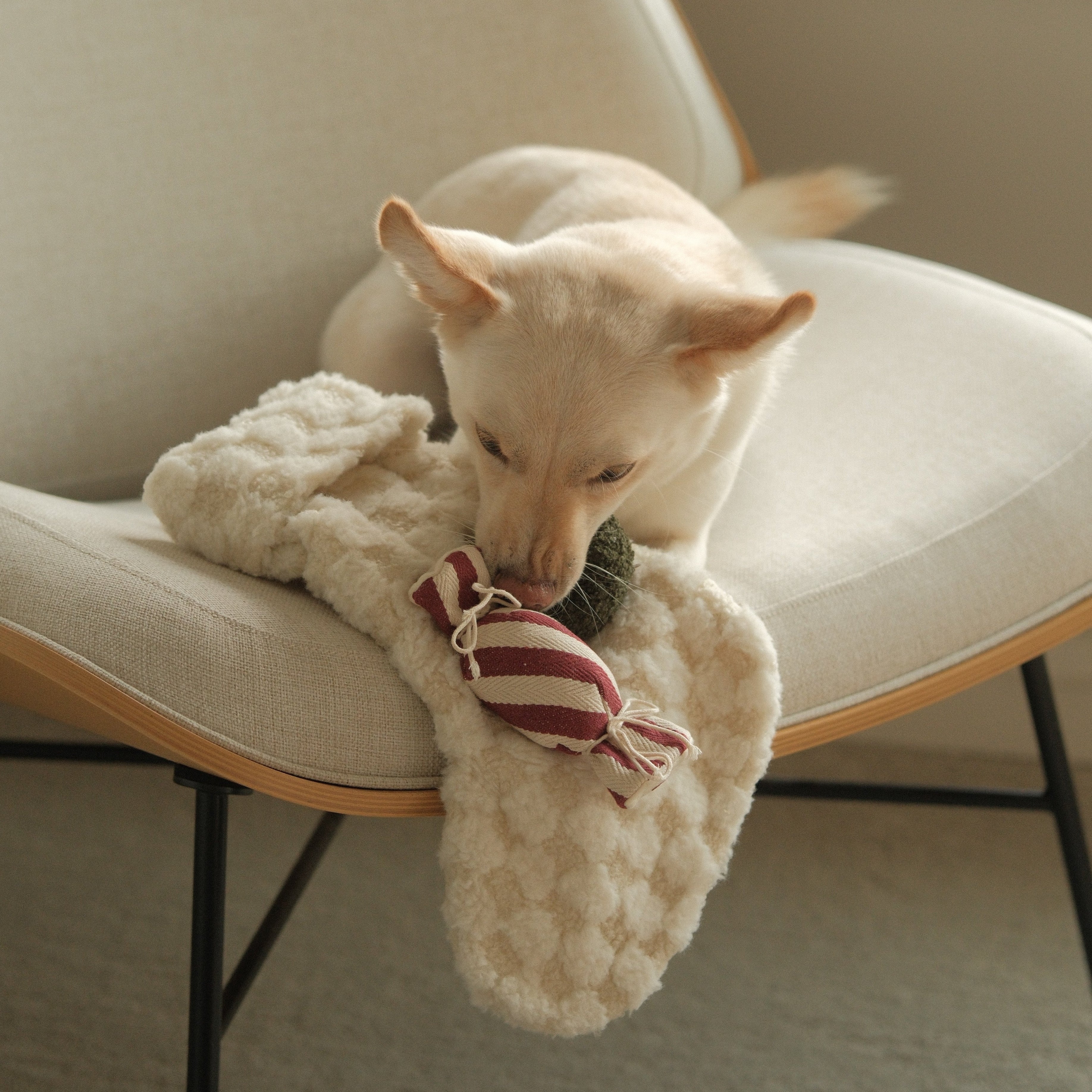 XMAS STOCKING
