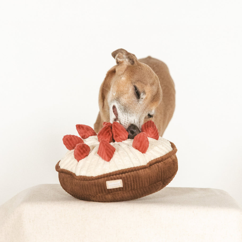 BERRY PIE