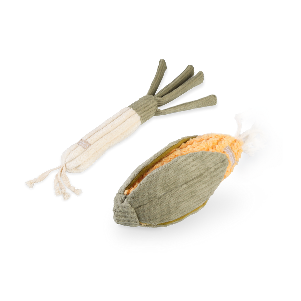 CORN + LEEK SET