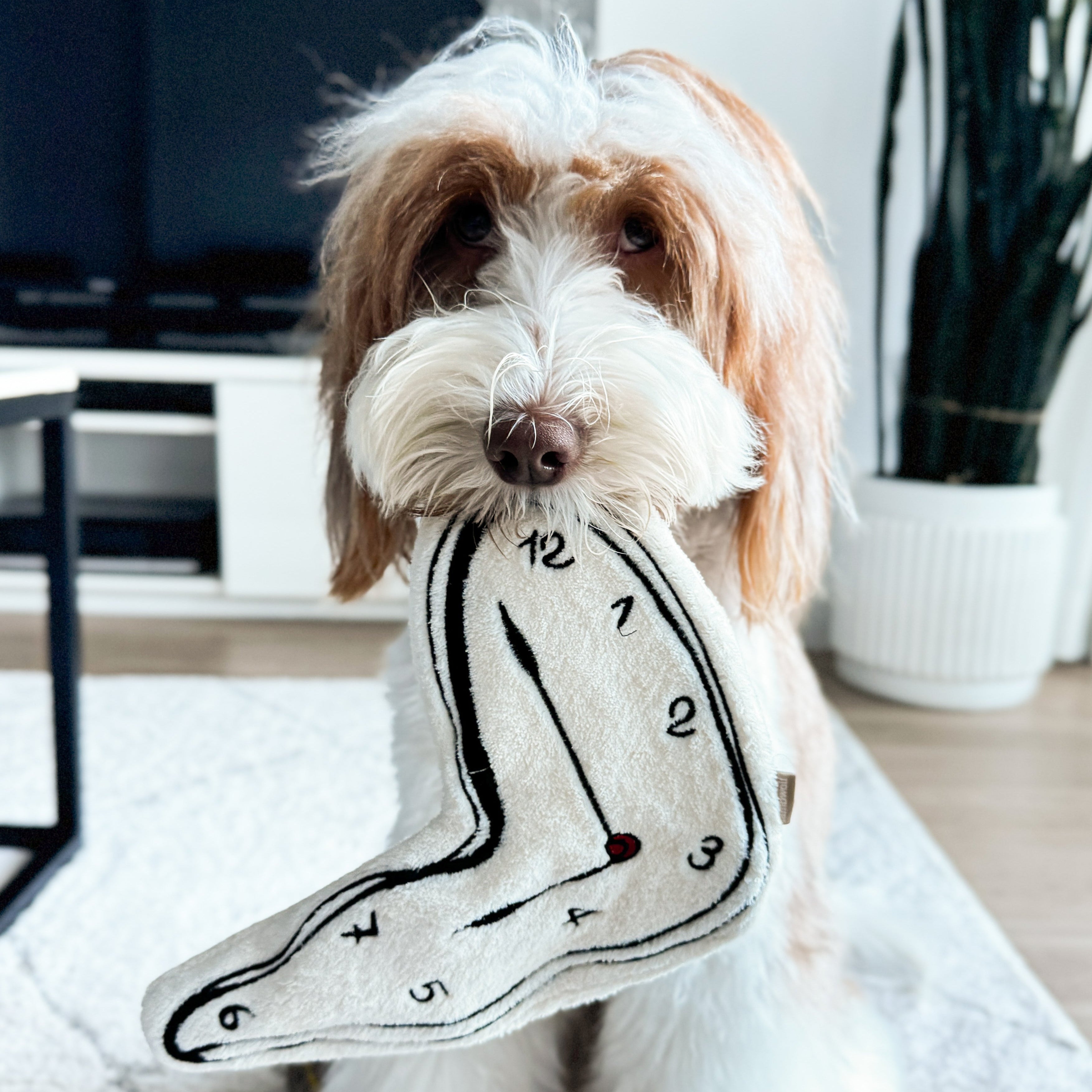 Surrealist Snuffles