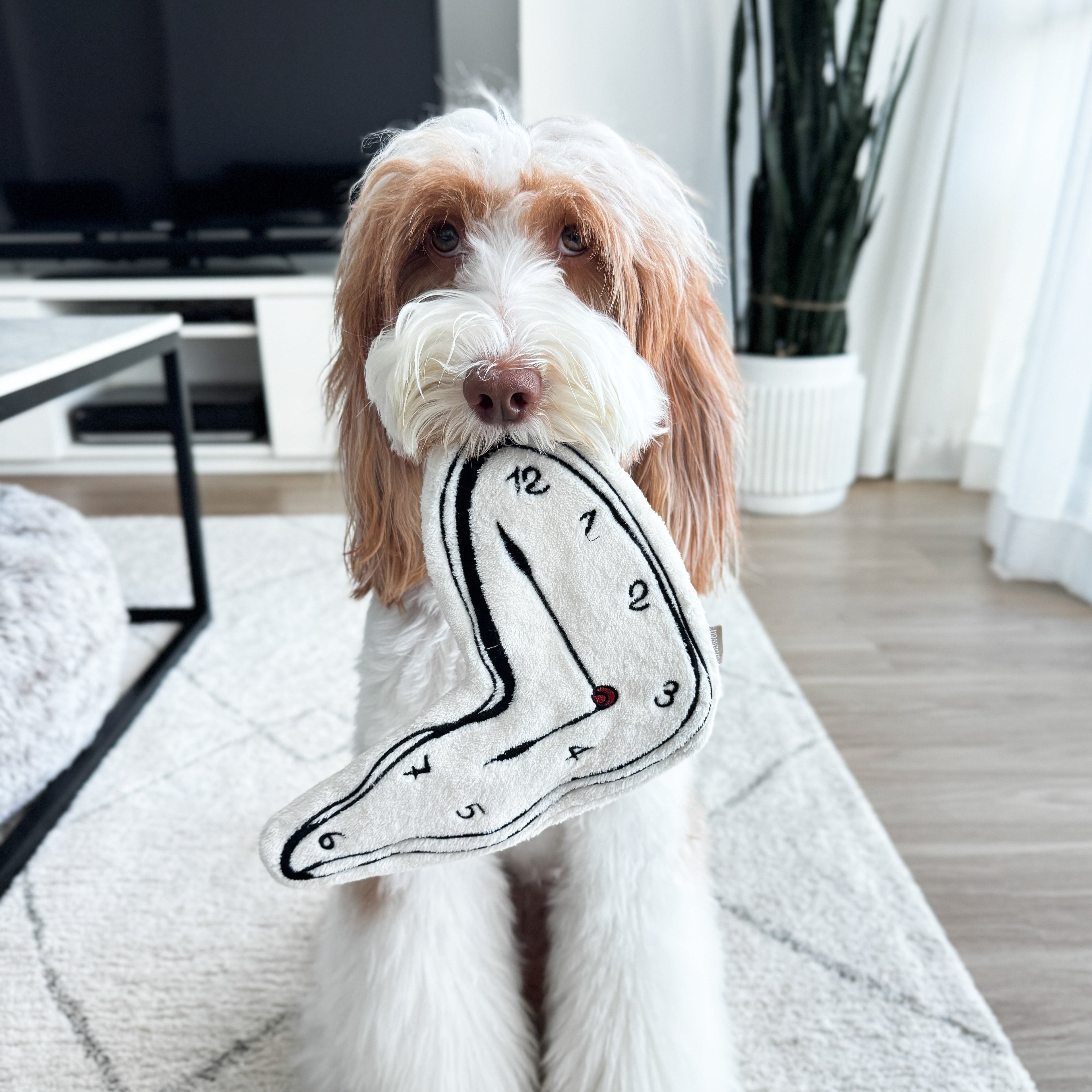 Surrealist Snuffles