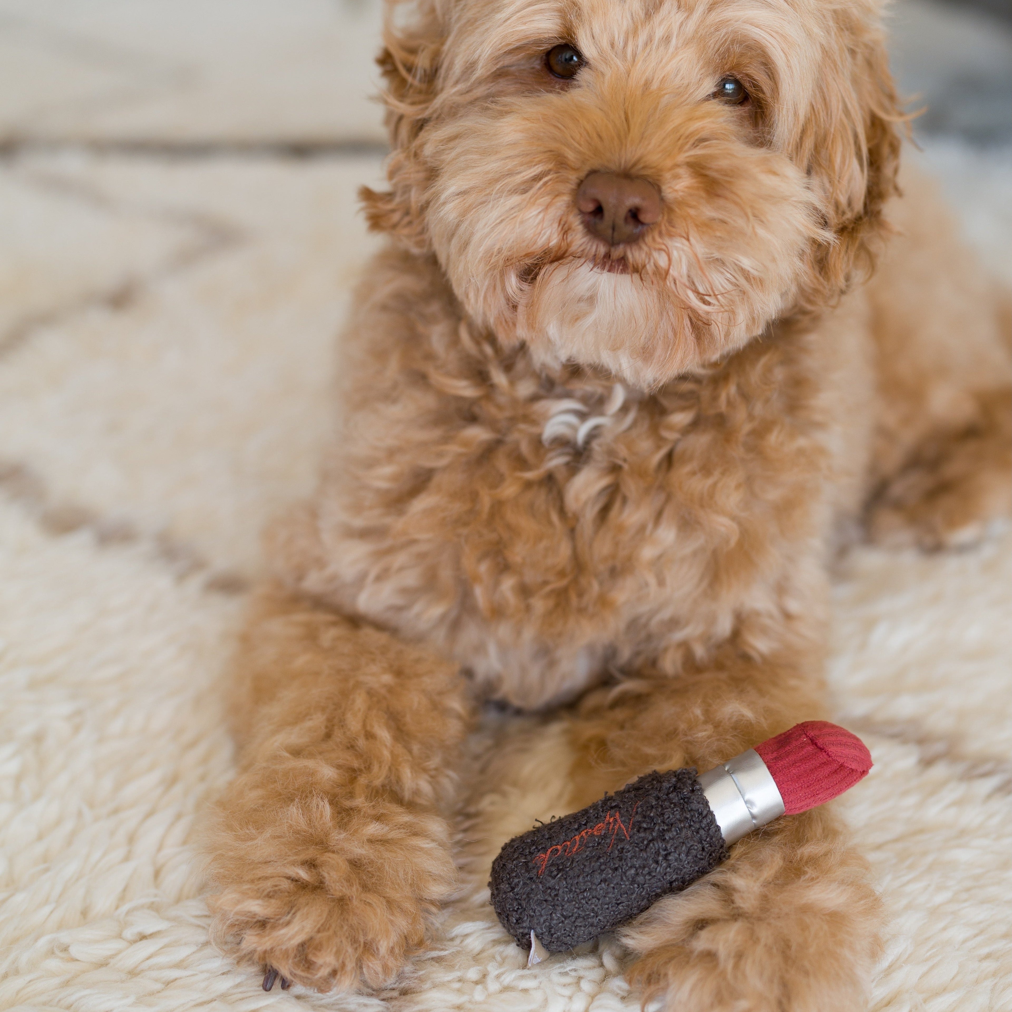 LIPSTICK