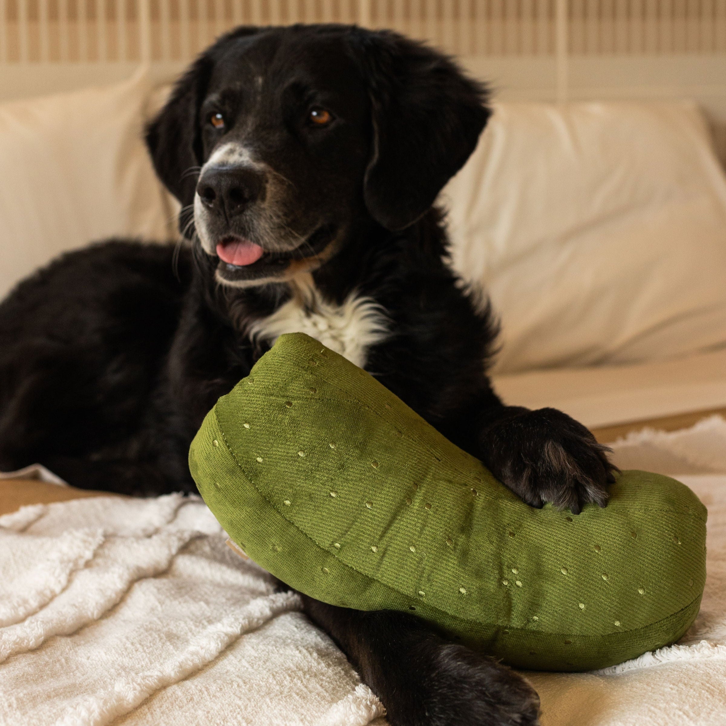GIANT PICKLE