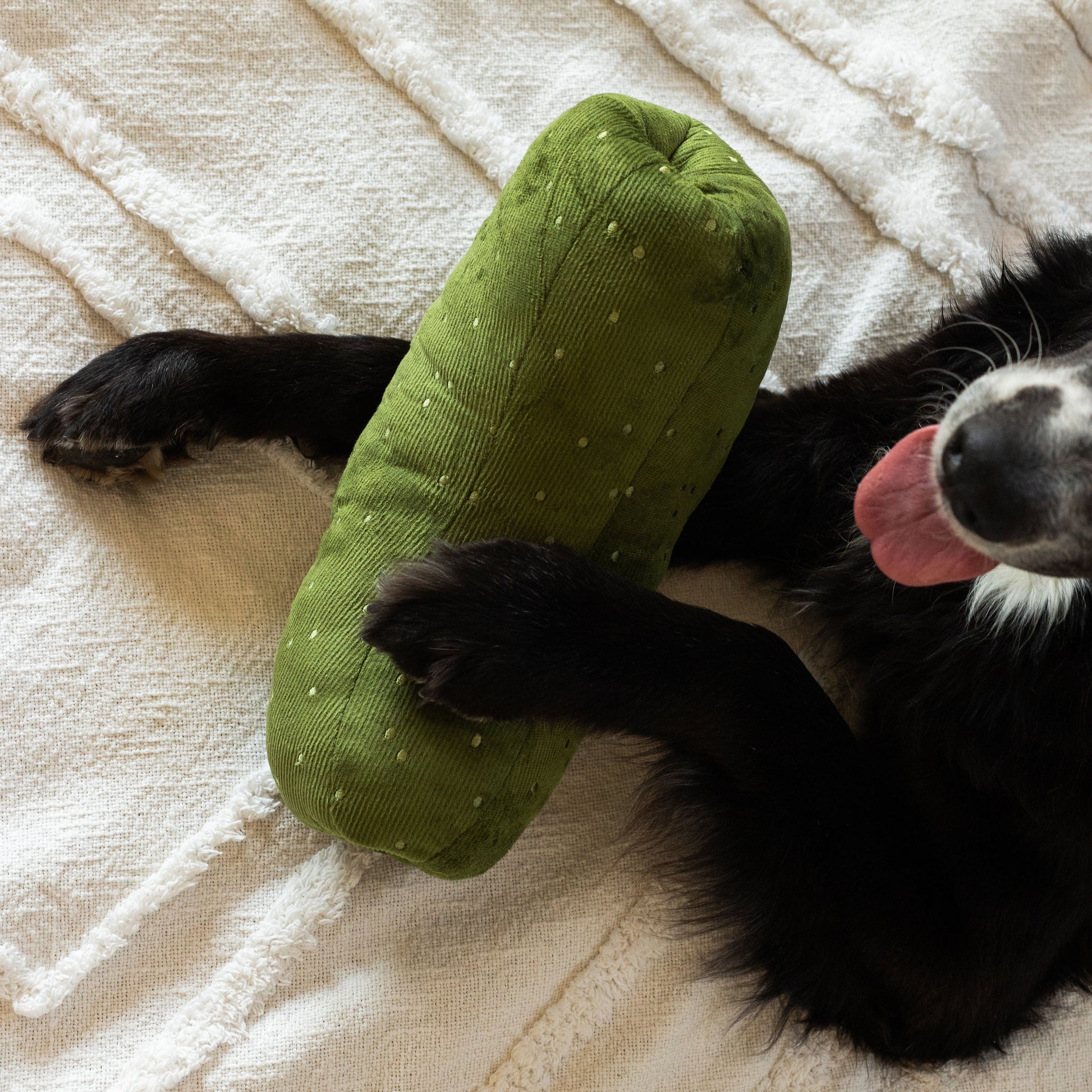 GIANT PICKLE