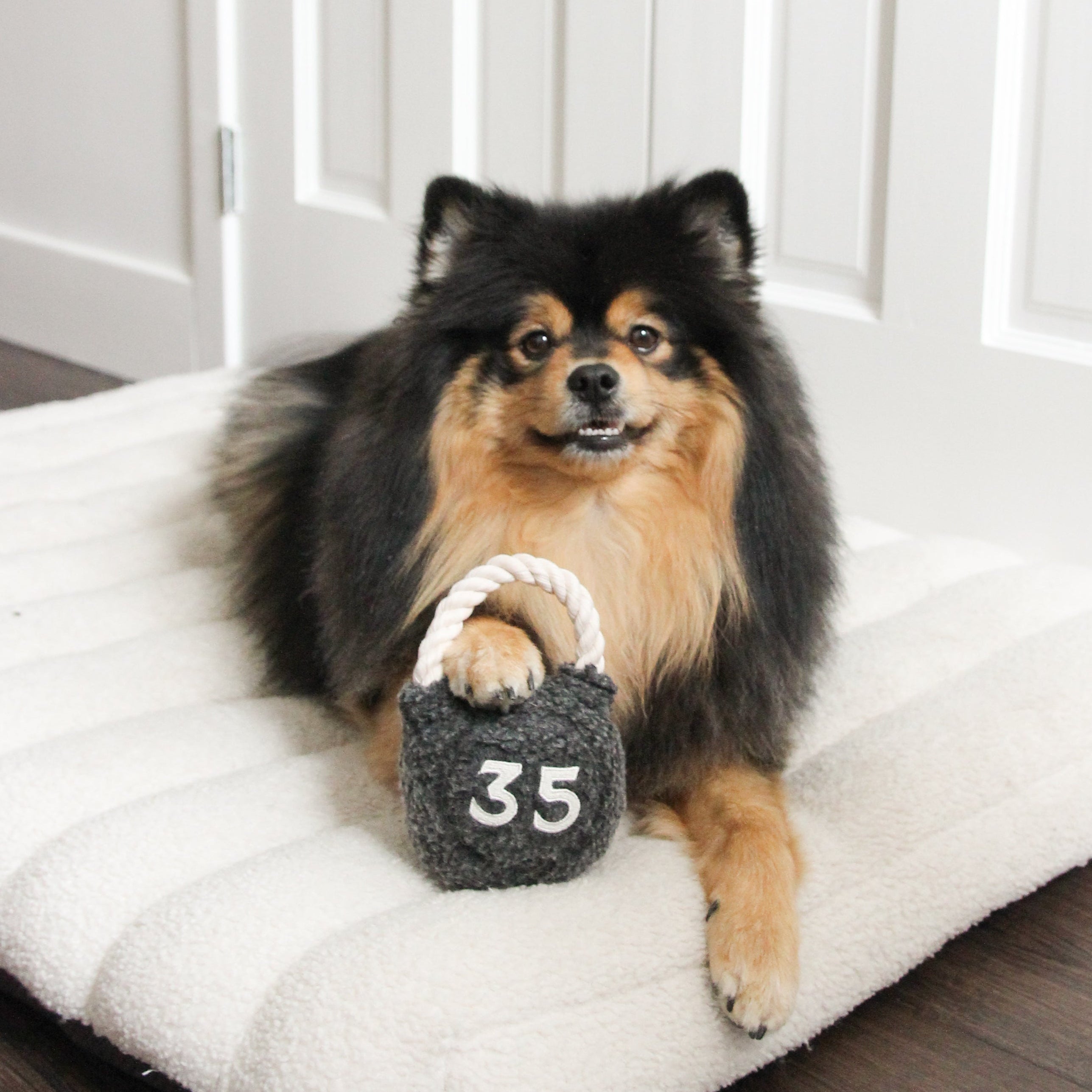 KETTLEBELL