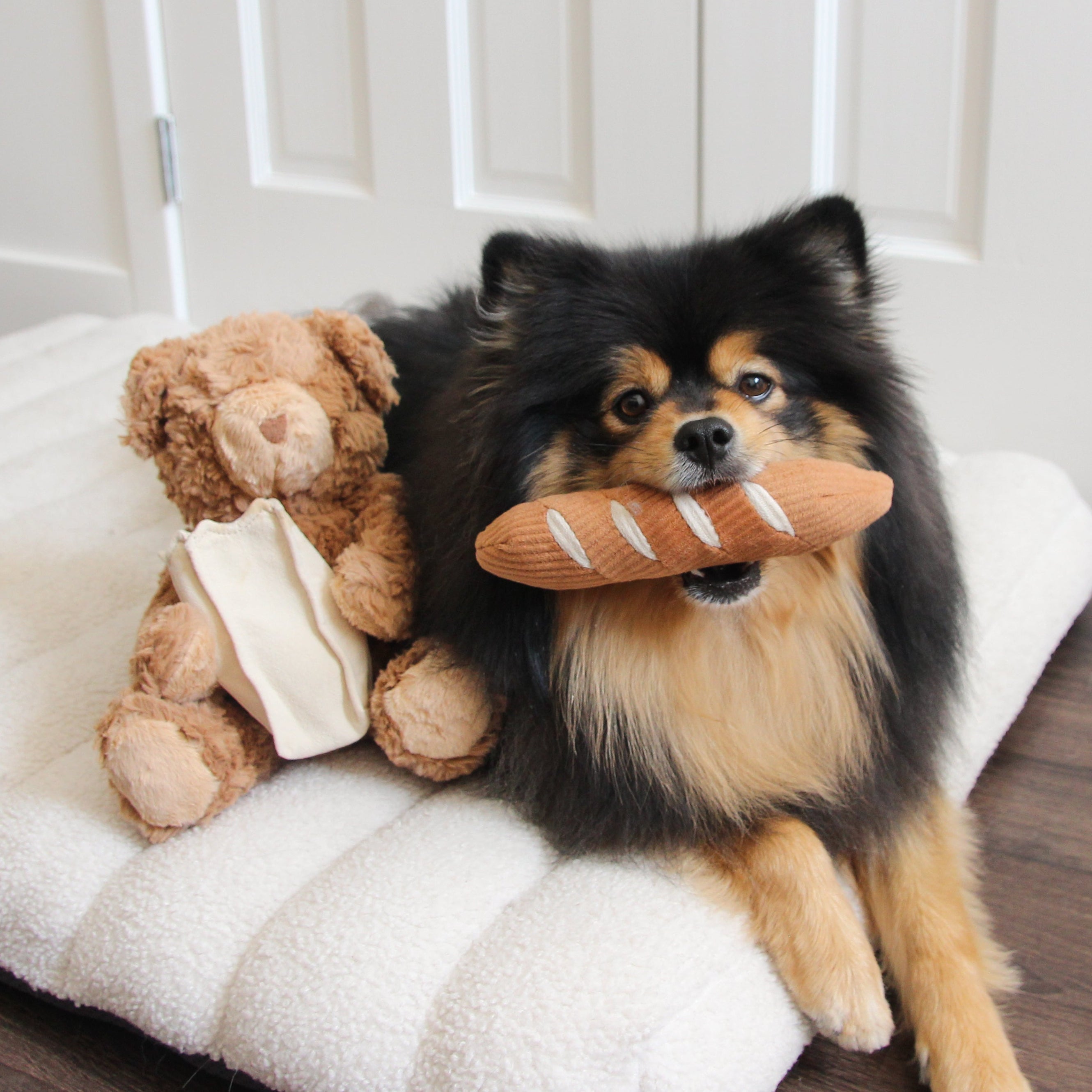 Teddy Baguette