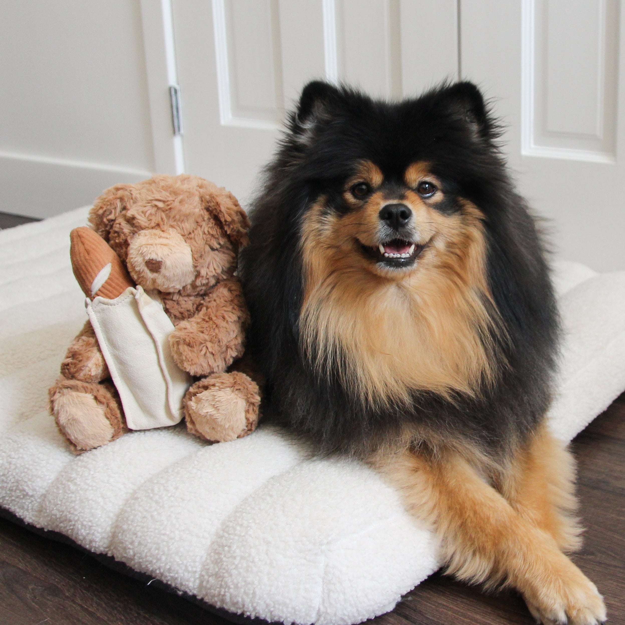 Teddy Baguette