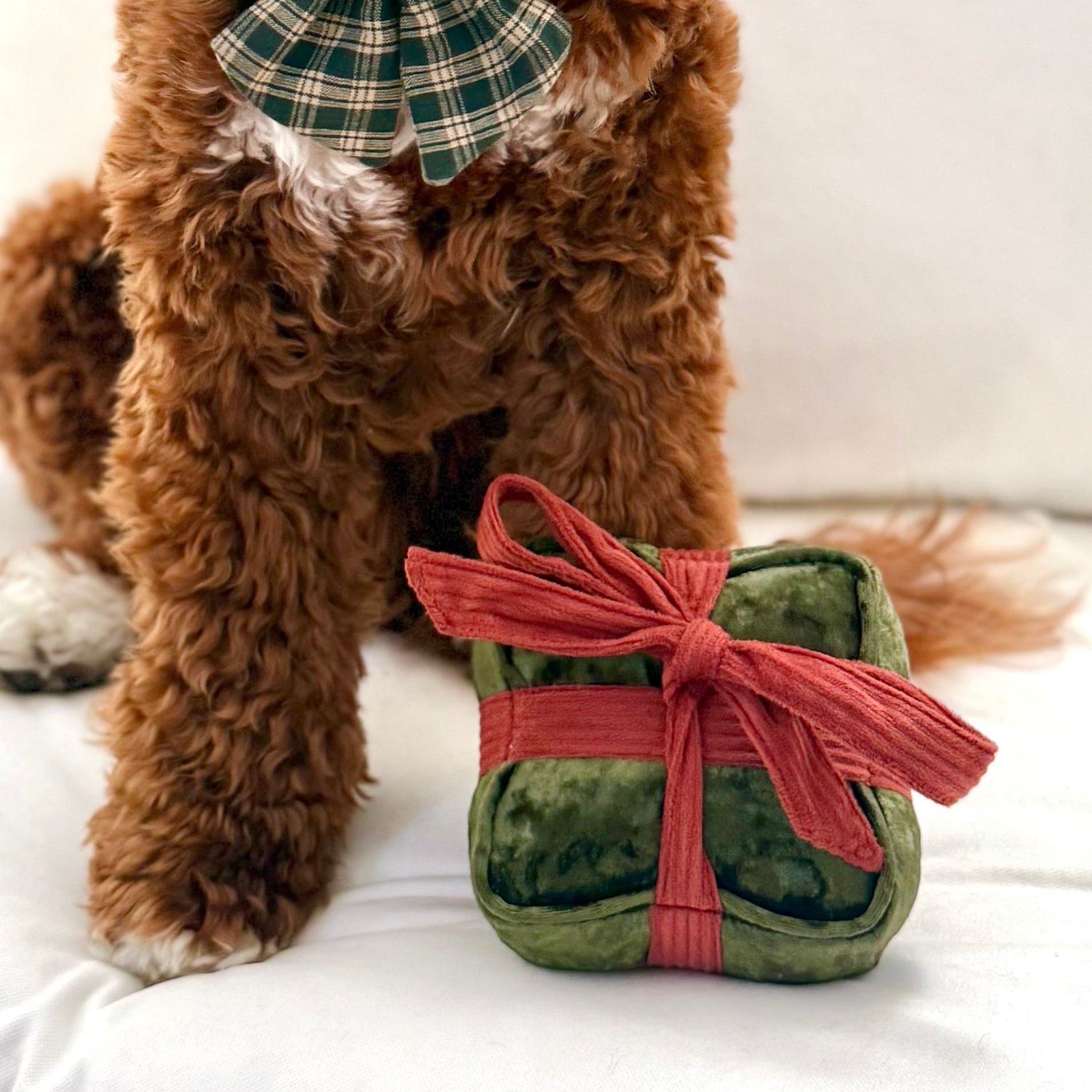 HOLIDAY BOX