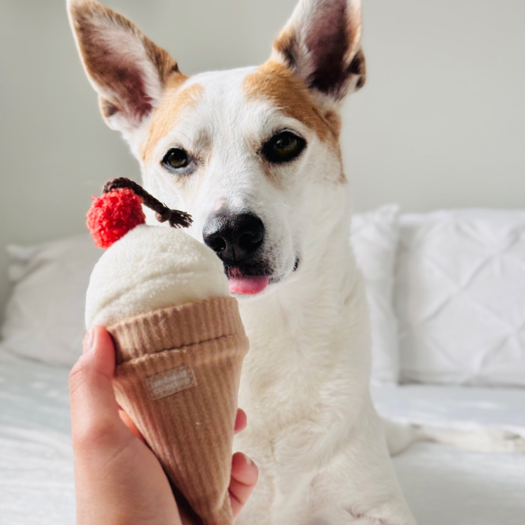 Ice Cream POP