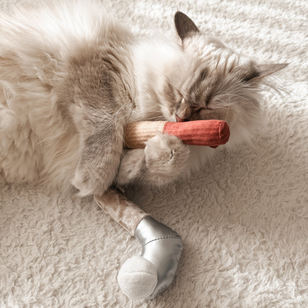 KITTY GOLFER