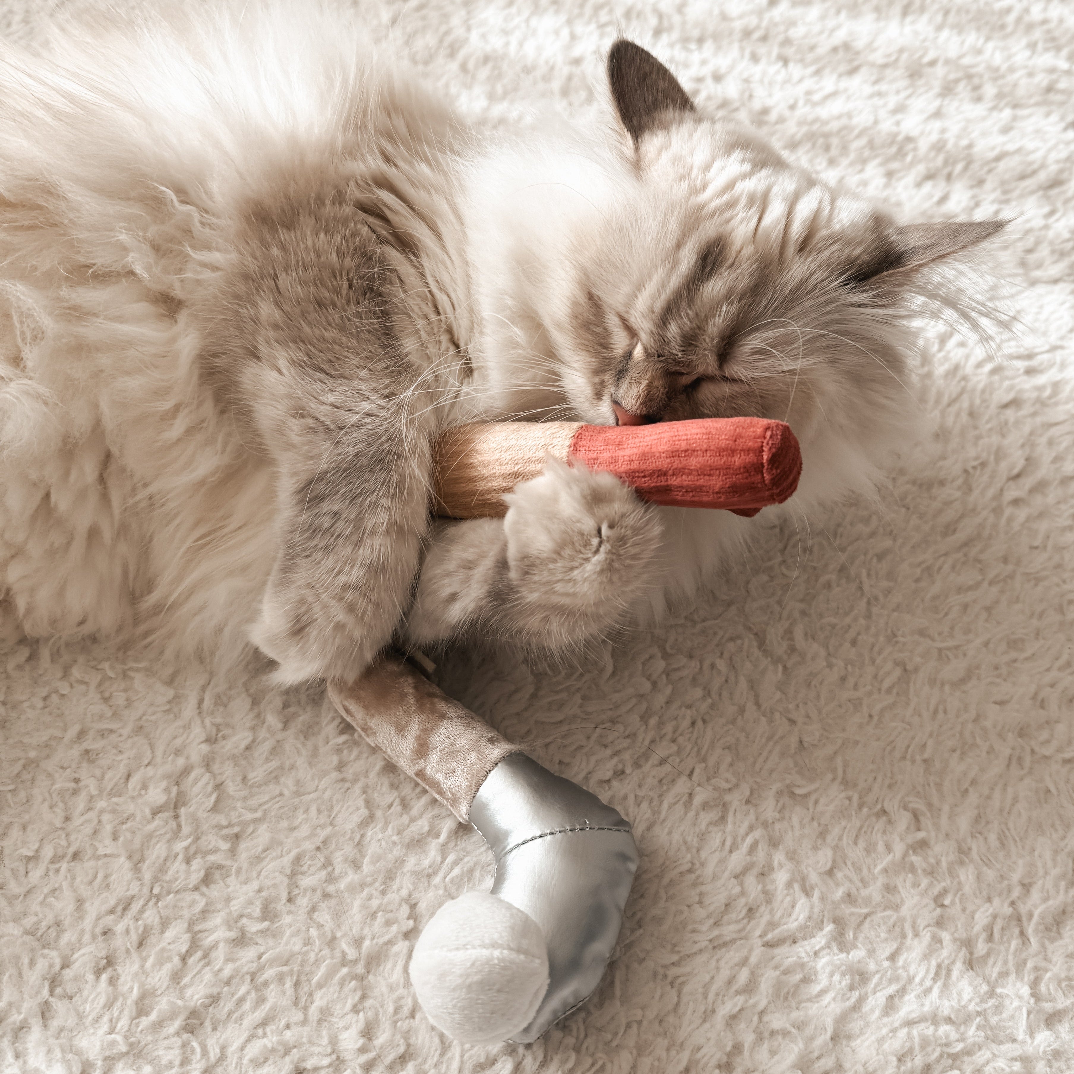 KITTY GOLFER