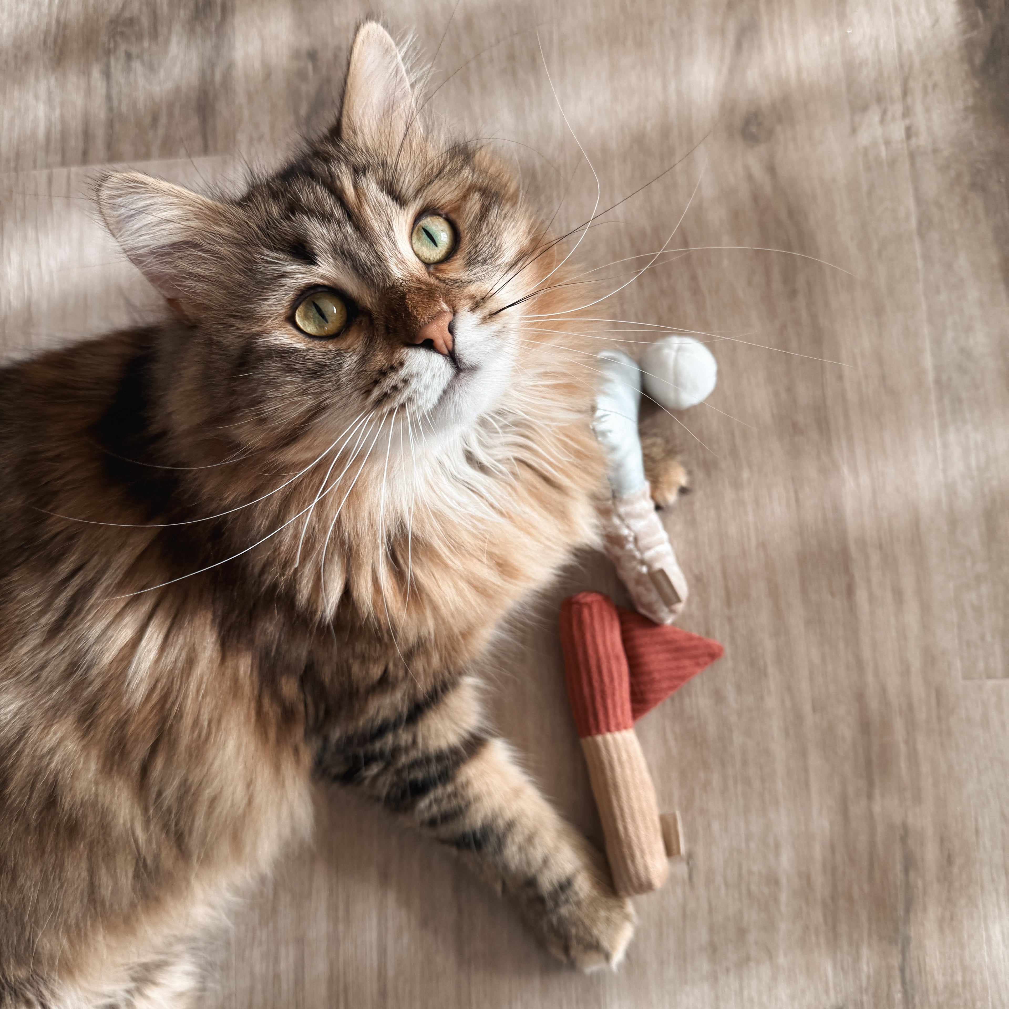 KITTY GOLFER