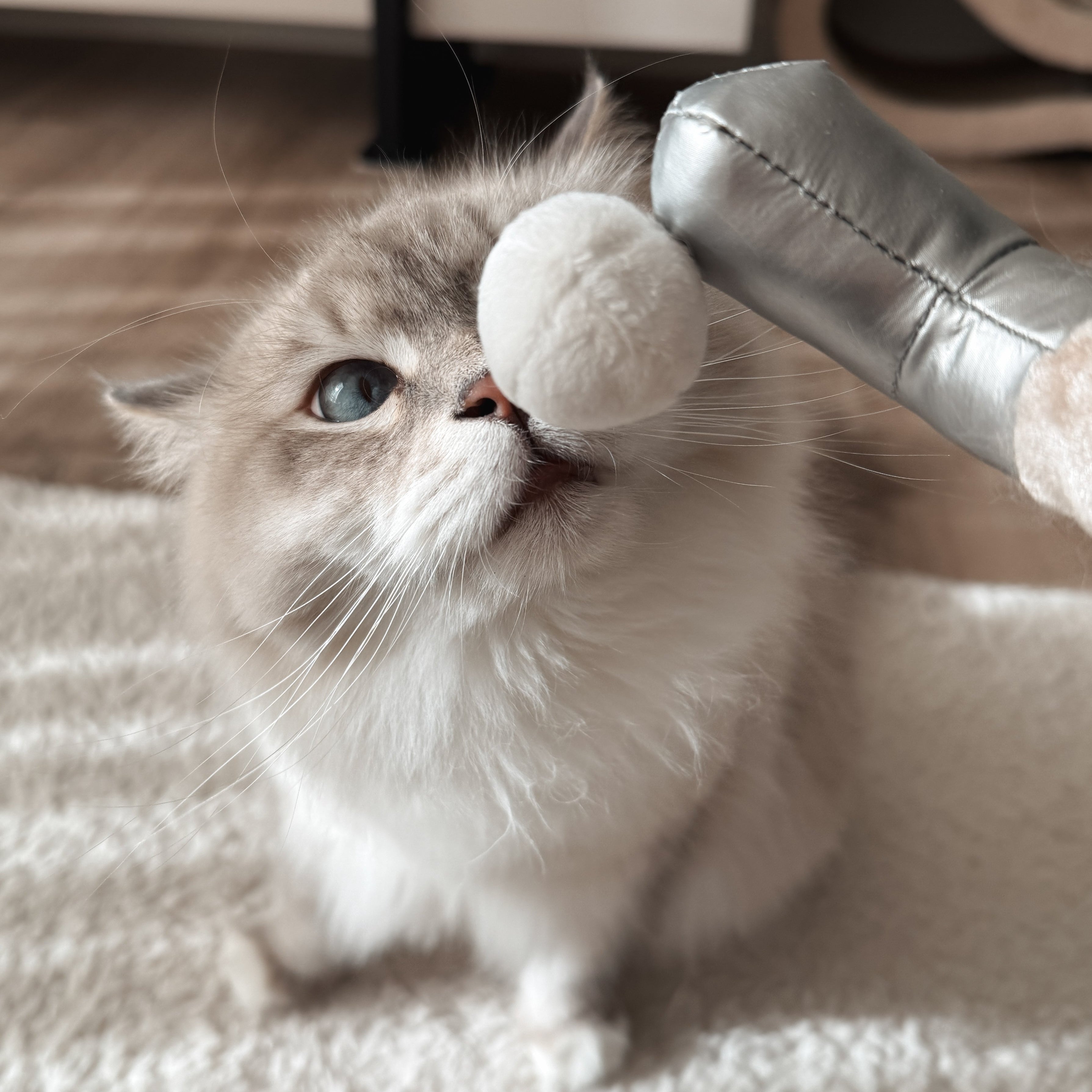 KITTY GOLFER
