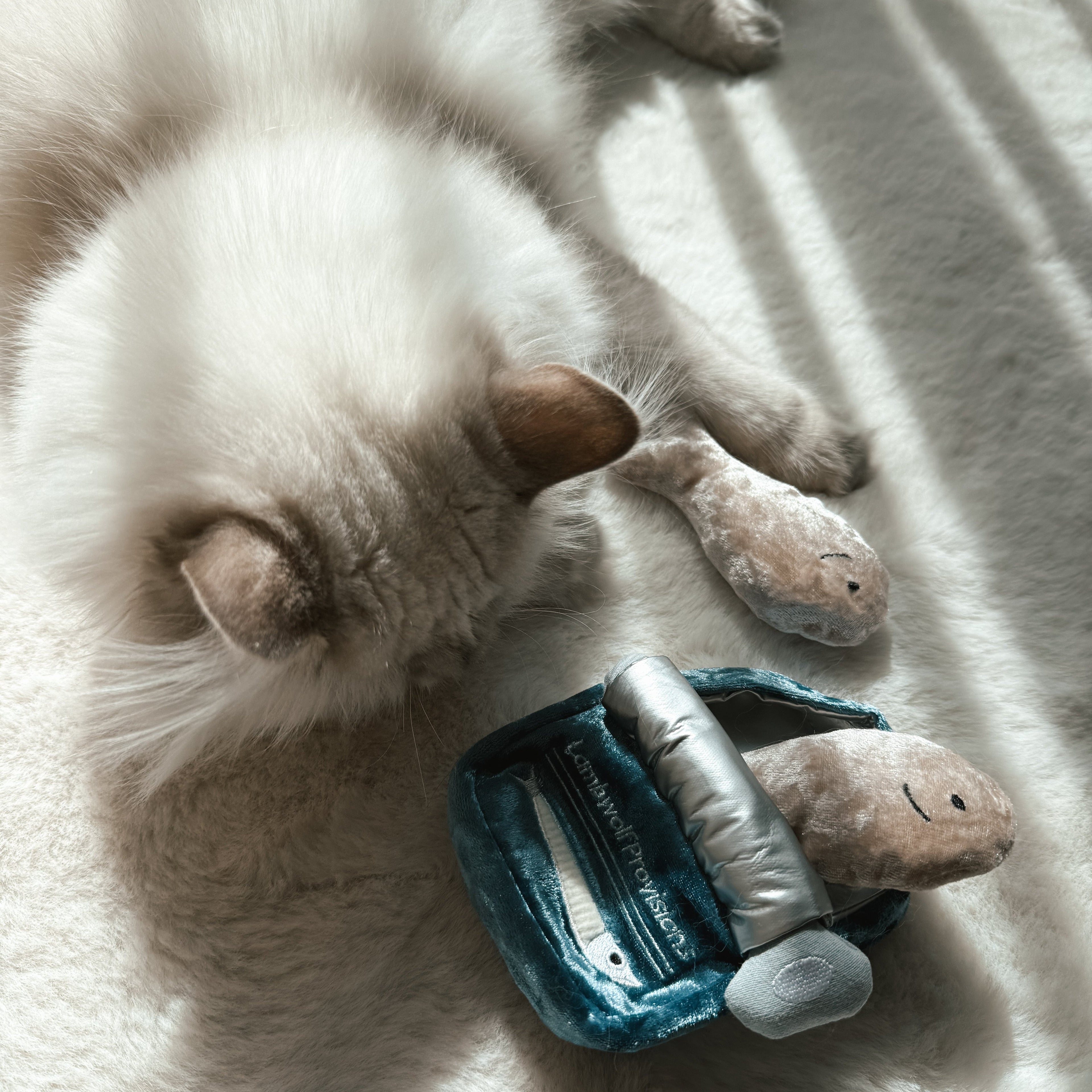 KITTY SARDINES