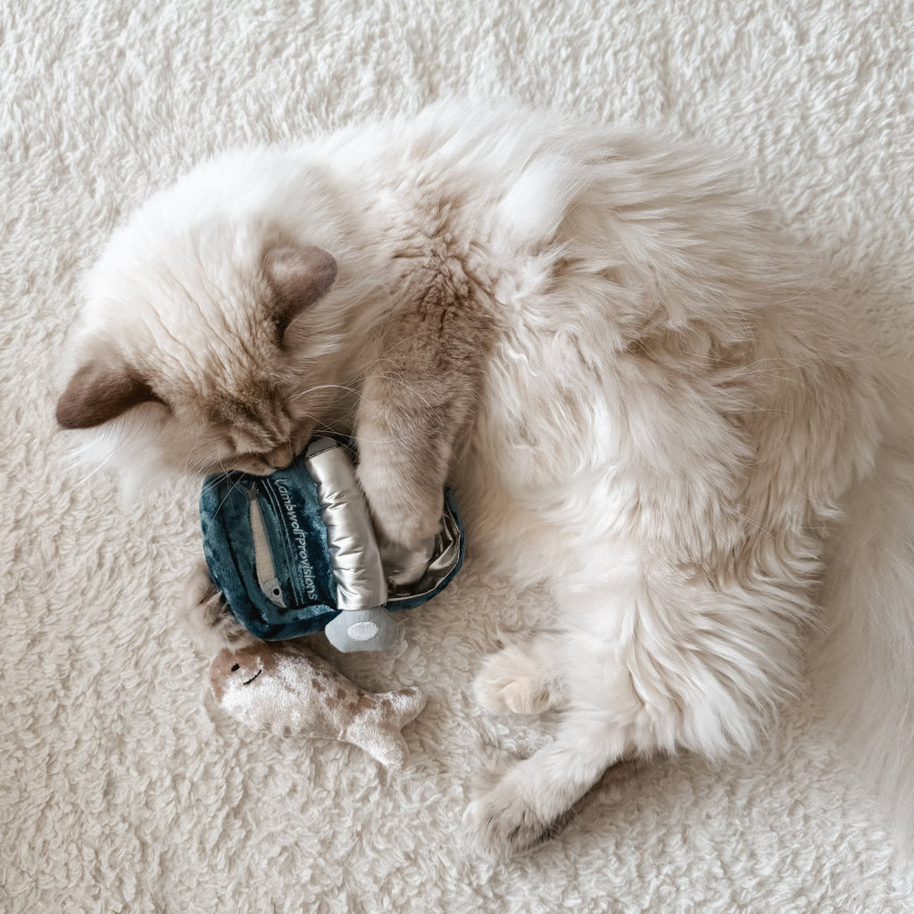 KITTY SARDINES