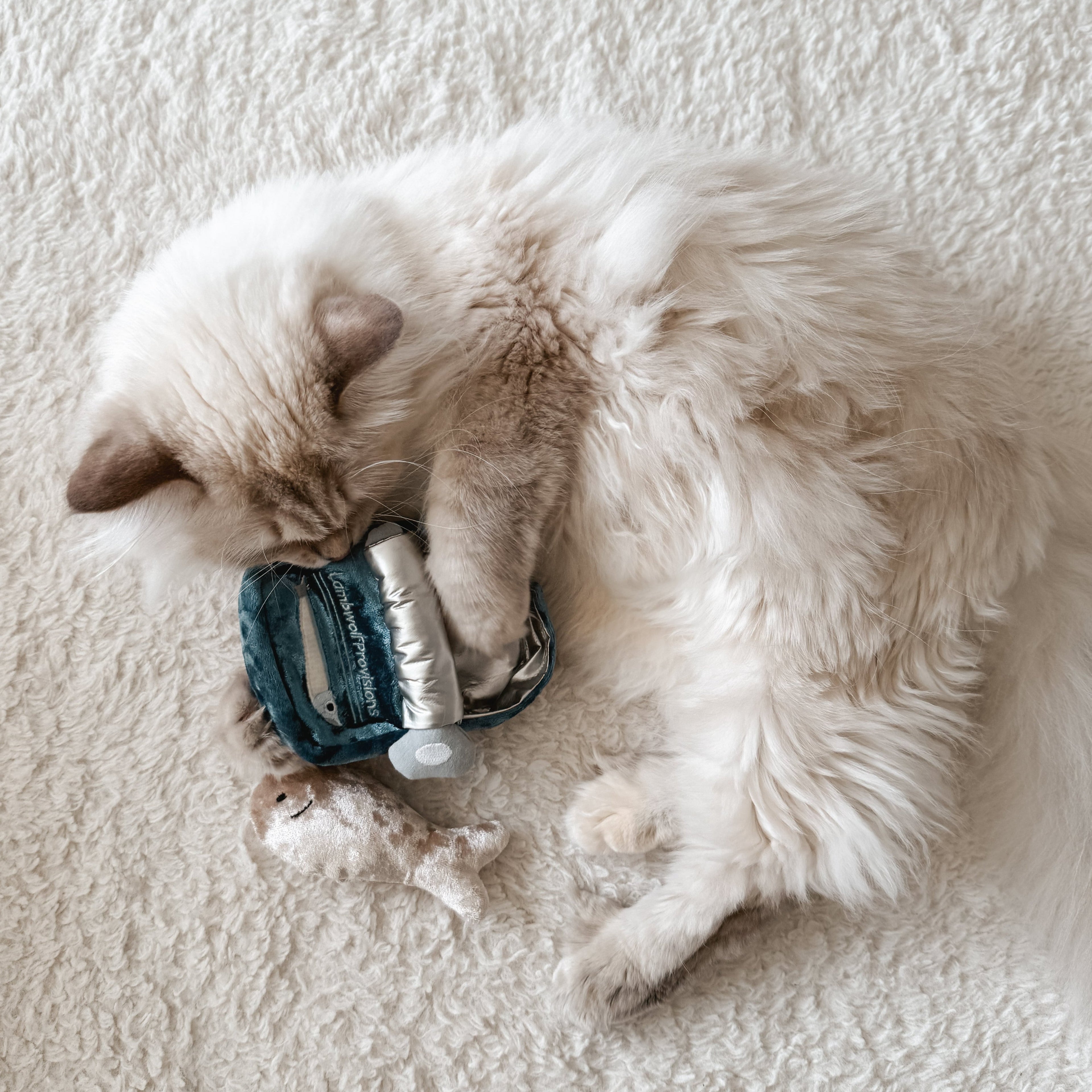 KITTY SARDINES