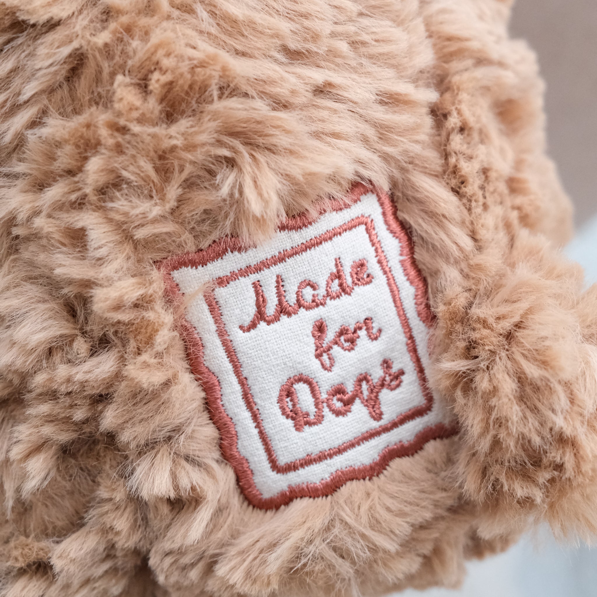 Teddy Initial