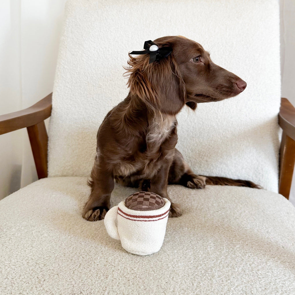 ESPRESSO POP