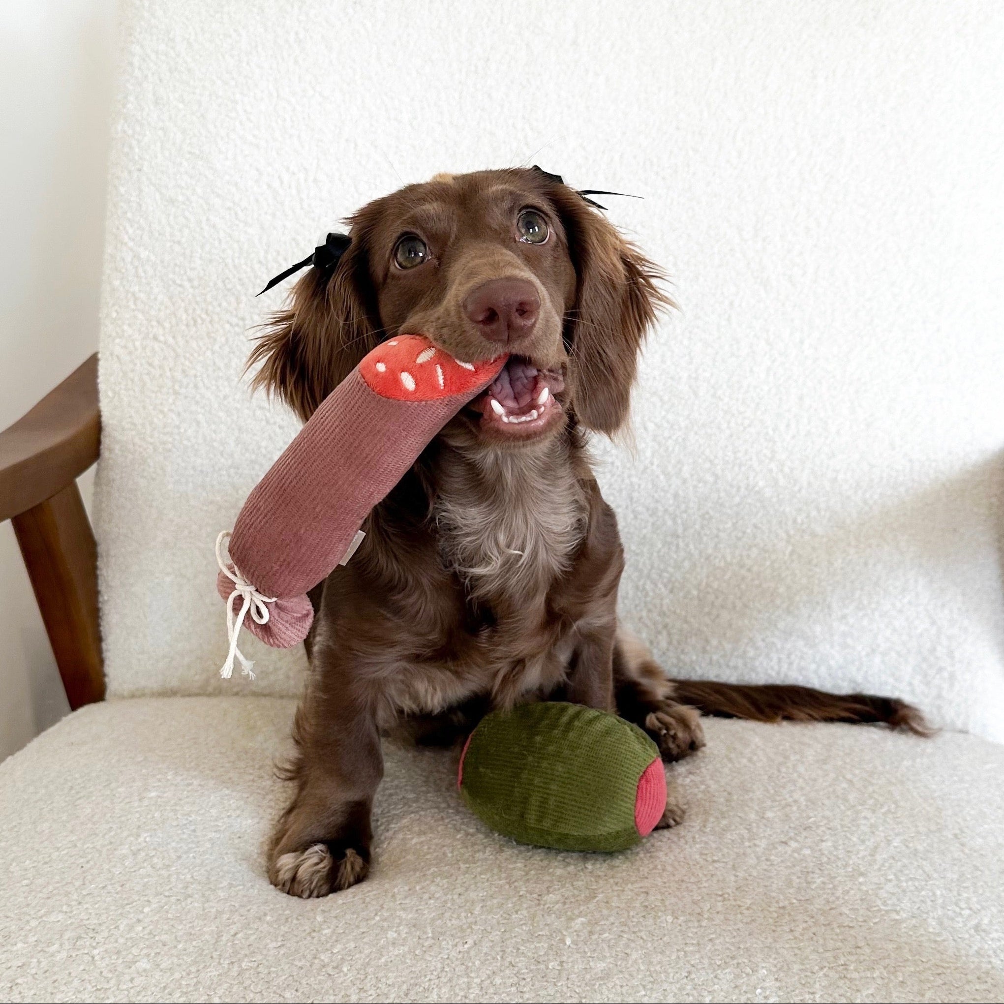 Olive + SALAMI