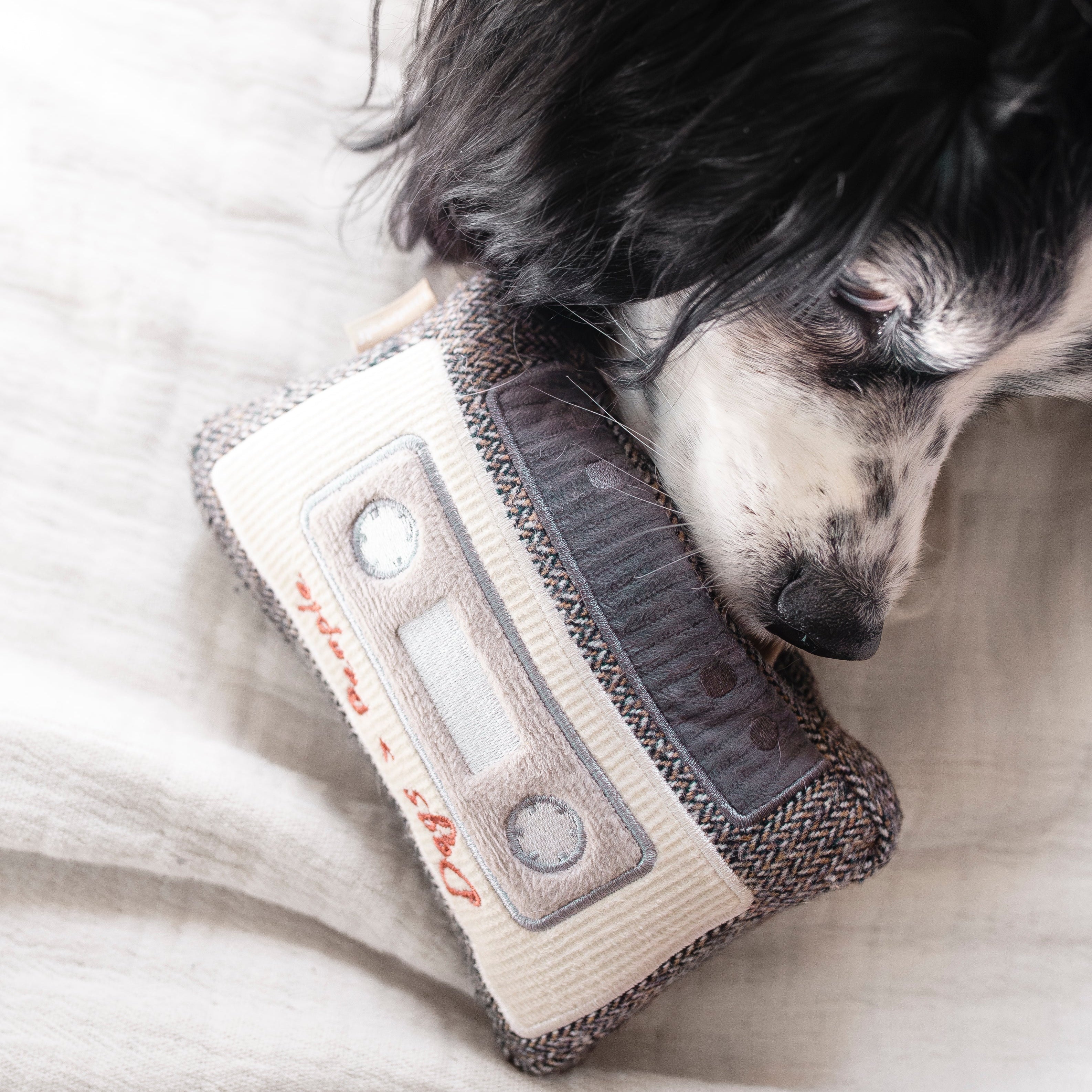 CASSETTE