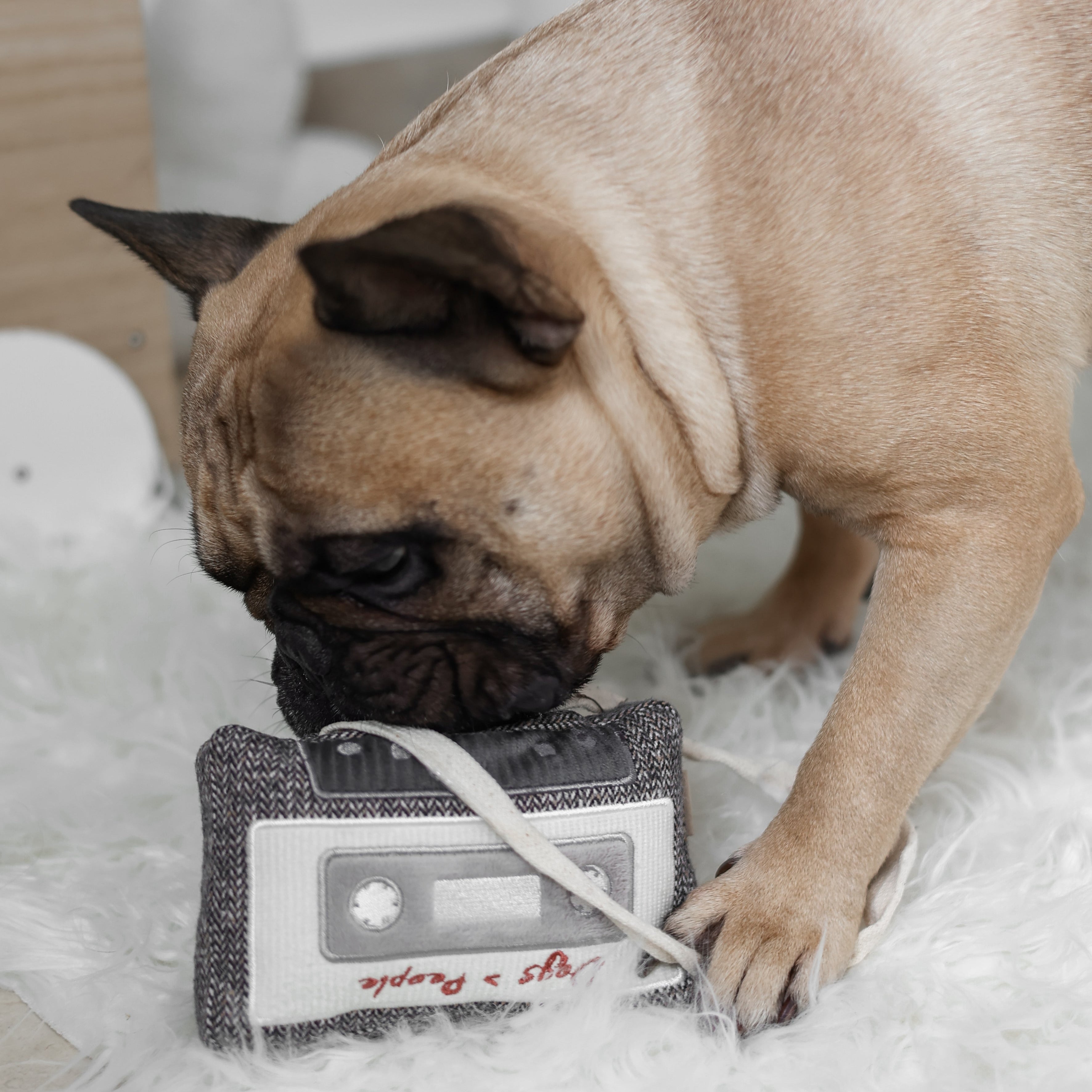 CASSETTE